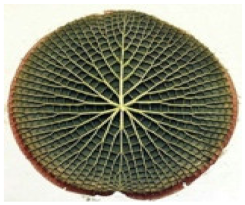 Sustainability 13 02138 i007