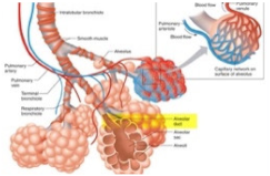 Sustainability 13 02138 i011
