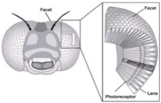 Sustainability 13 02138 i013