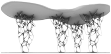 Sustainability 13 02138 i016