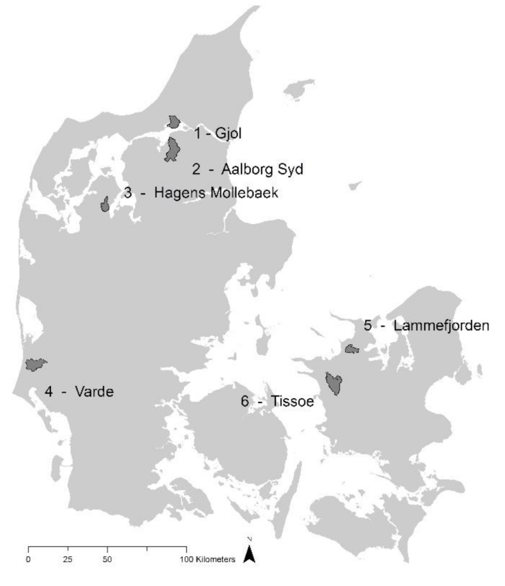 Sustainability 13 02140 g001