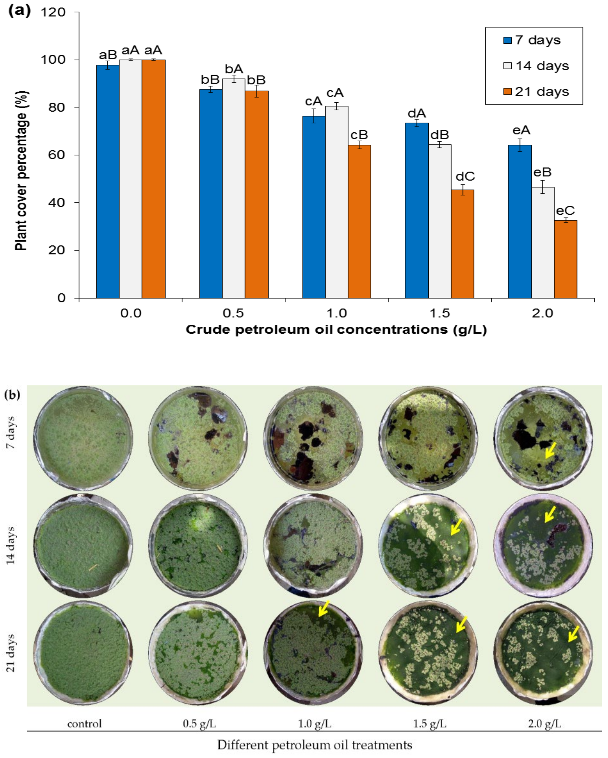Sustainability 13 02142 g001