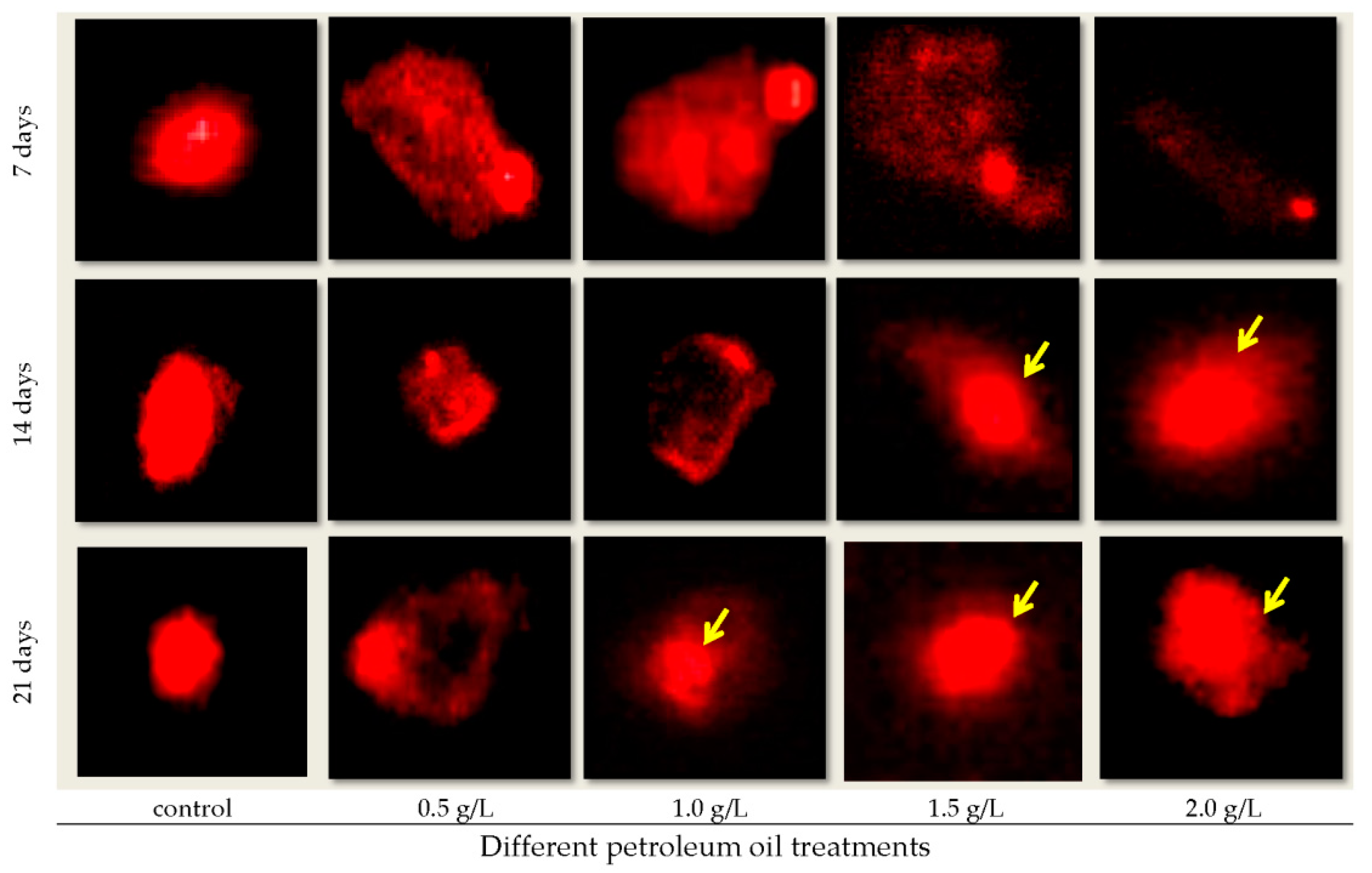 Sustainability 13 02142 g006