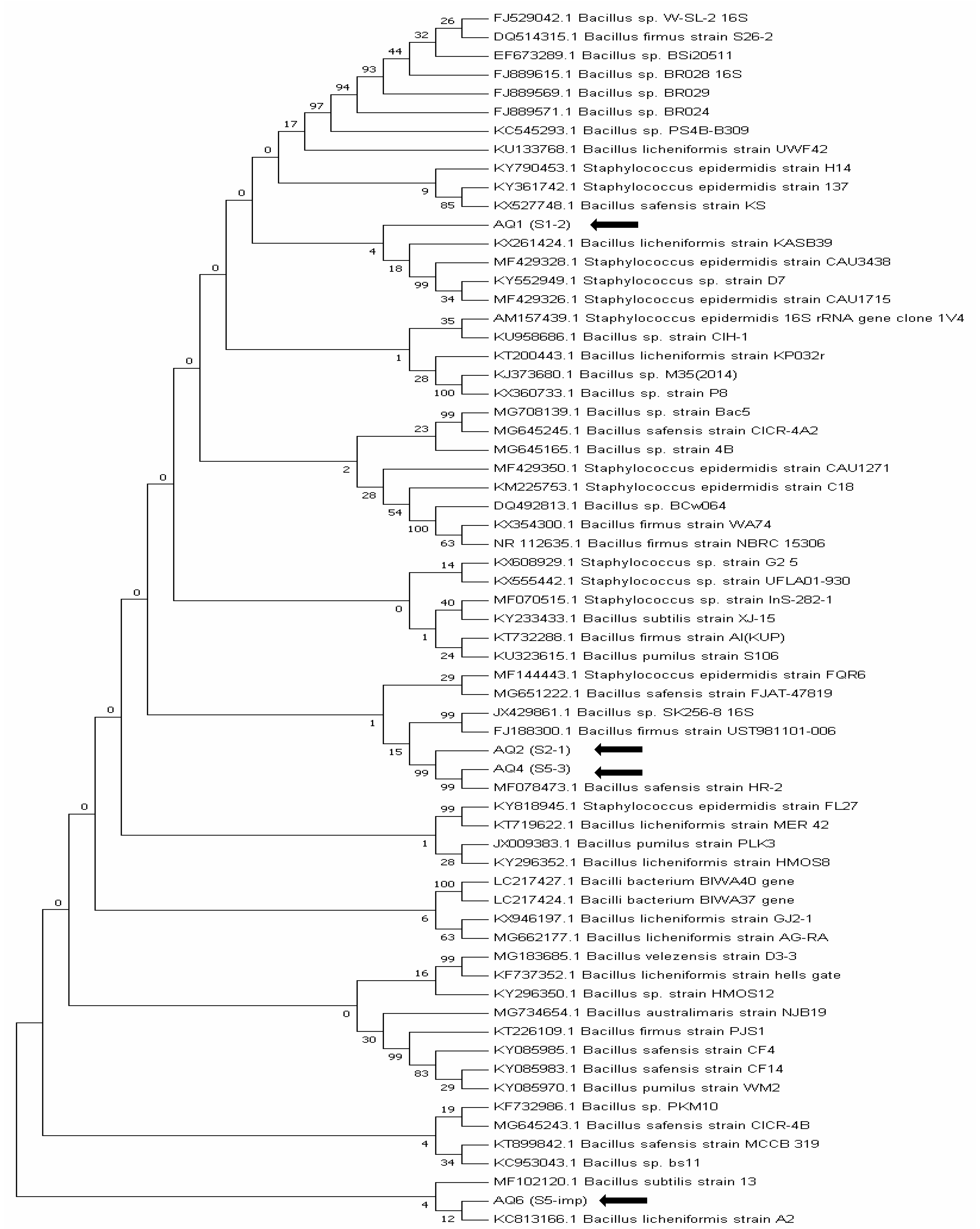 Sustainability 13 02151 g002