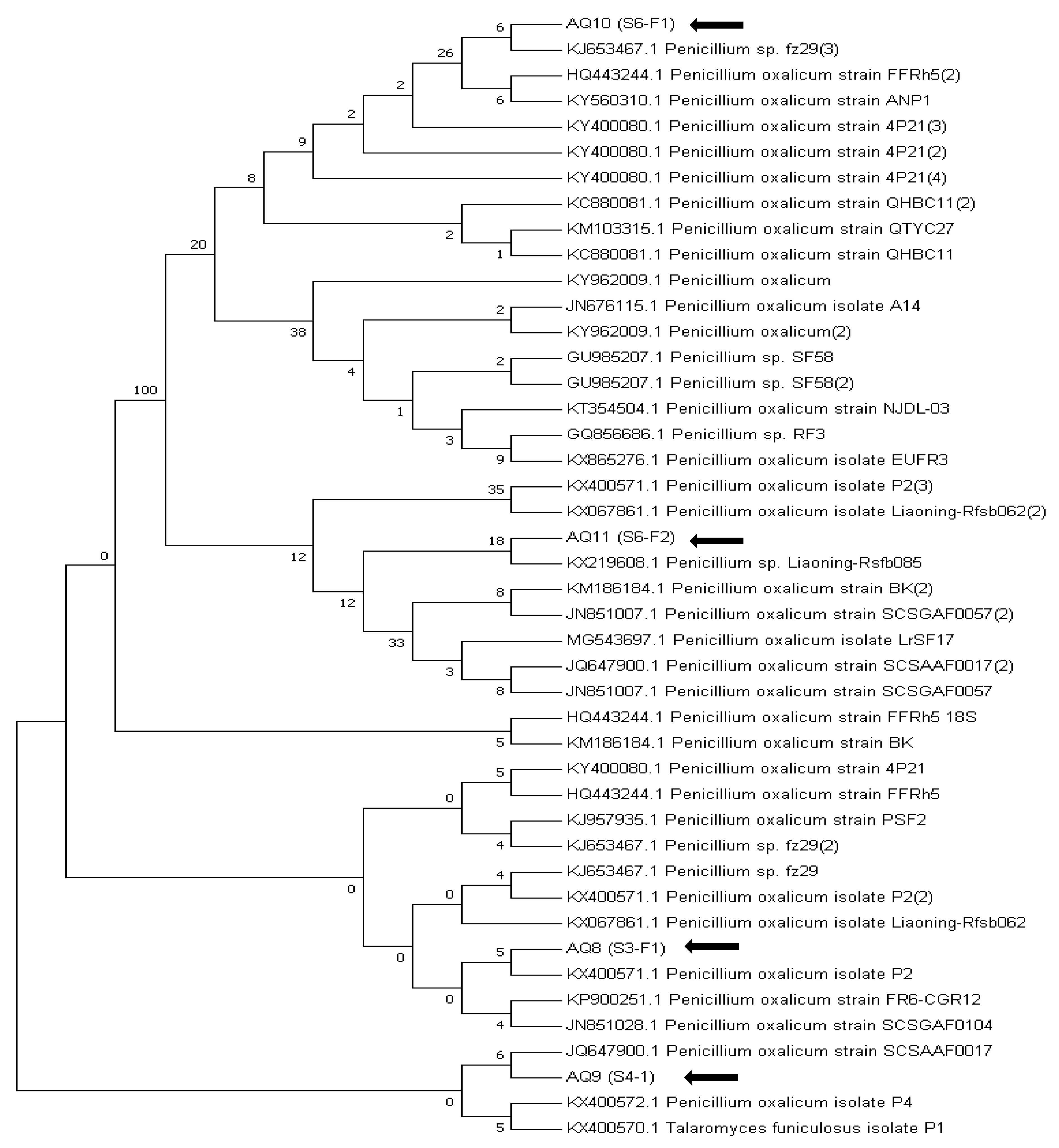 Sustainability 13 02151 g003
