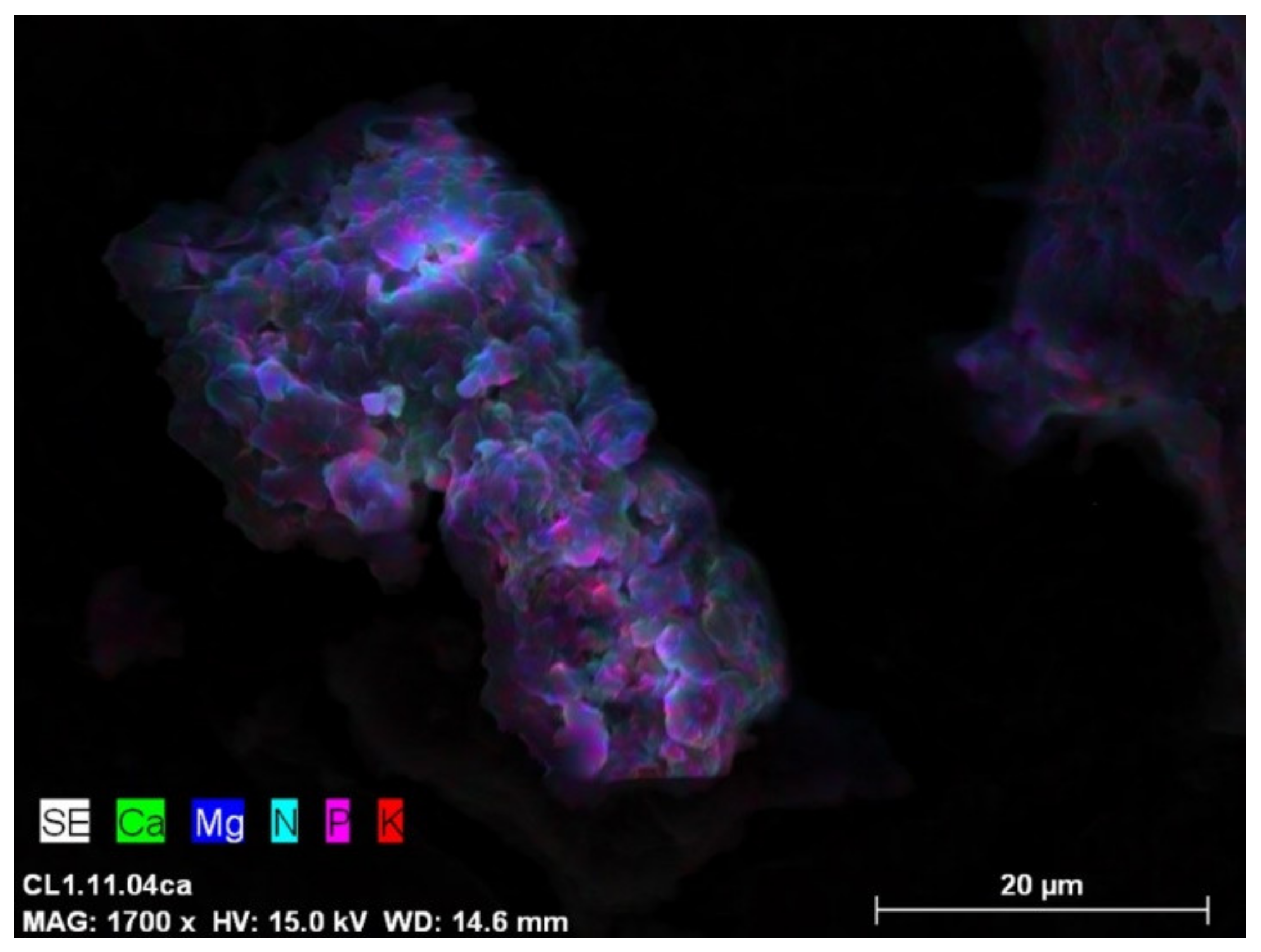 Sustainability 13 02175 g004