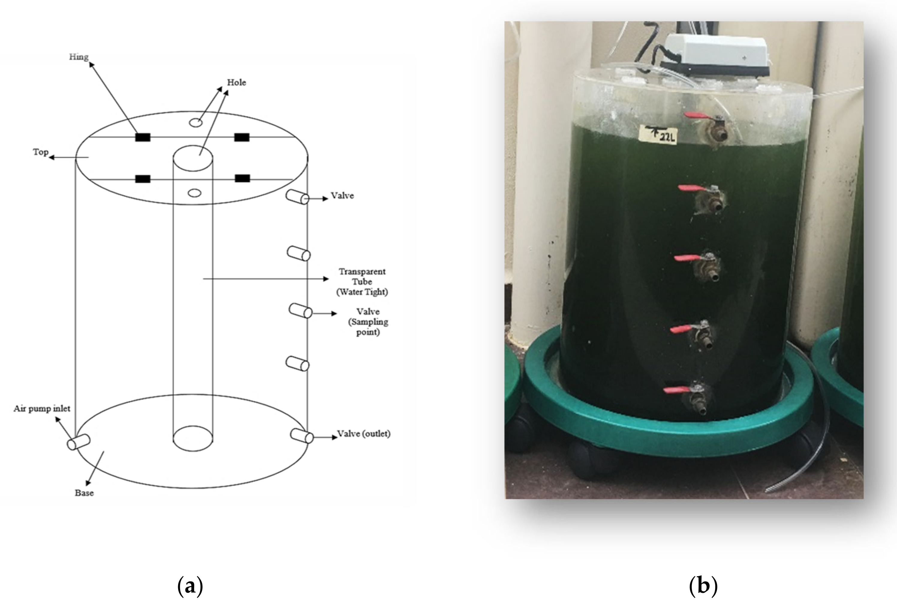 Sustainability 13 02216 g001a