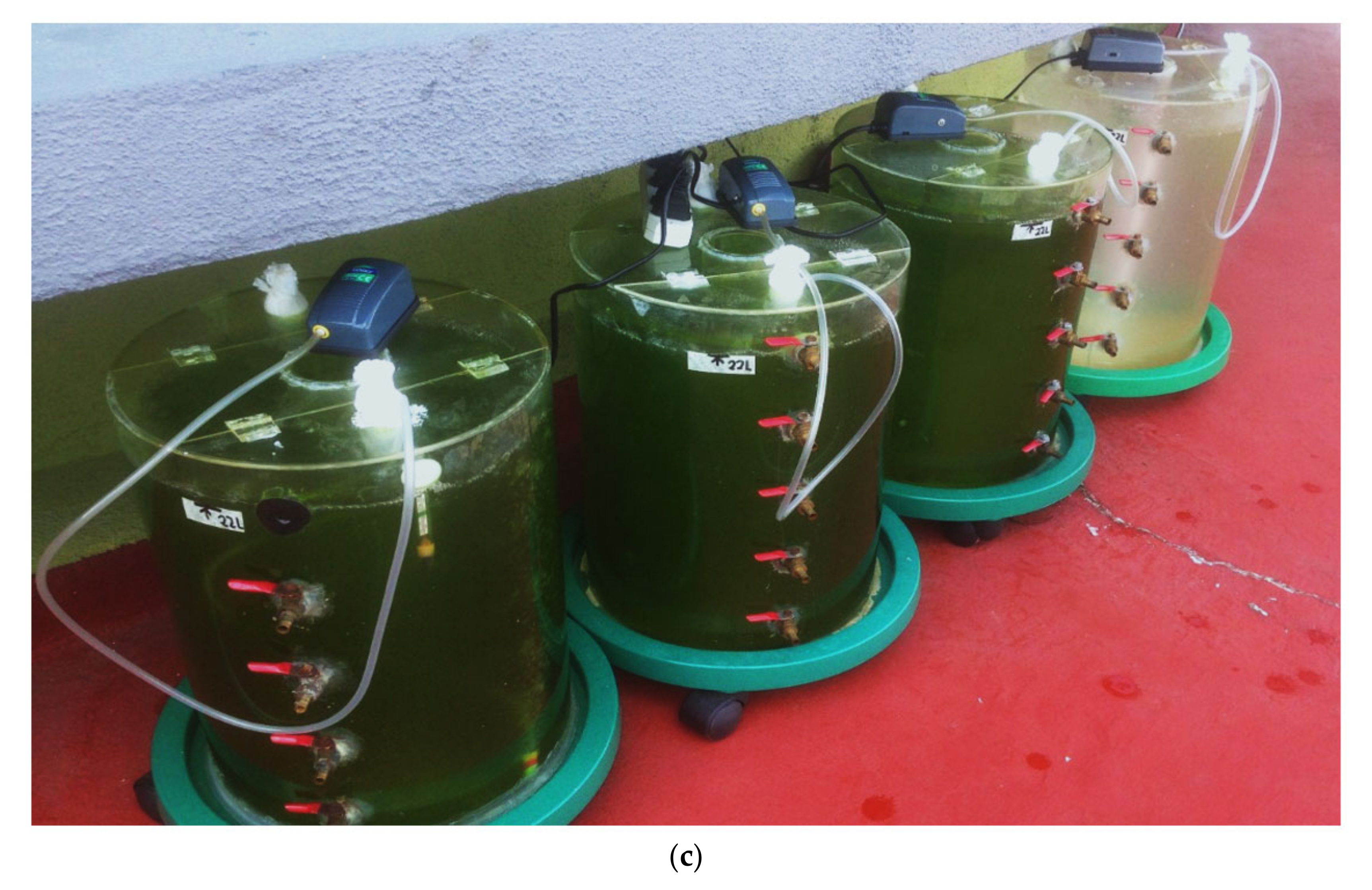 Sustainability 13 02216 g001b