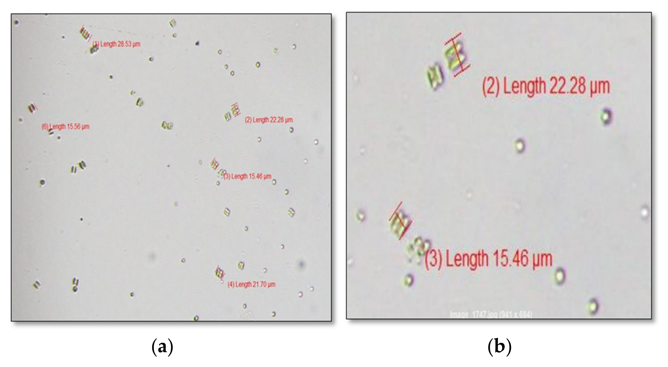 Sustainability 13 02216 g002a
