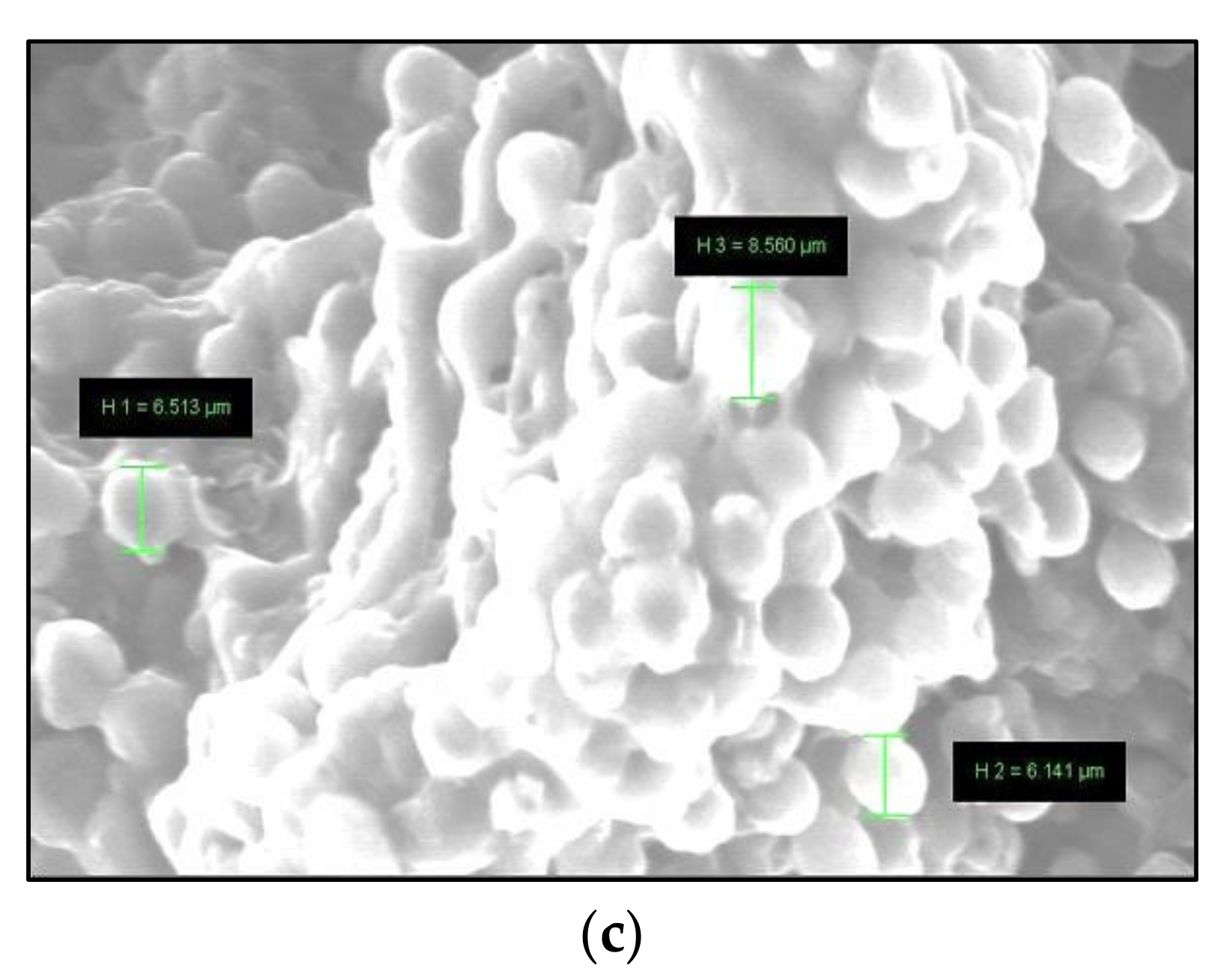 Sustainability 13 02216 g002b