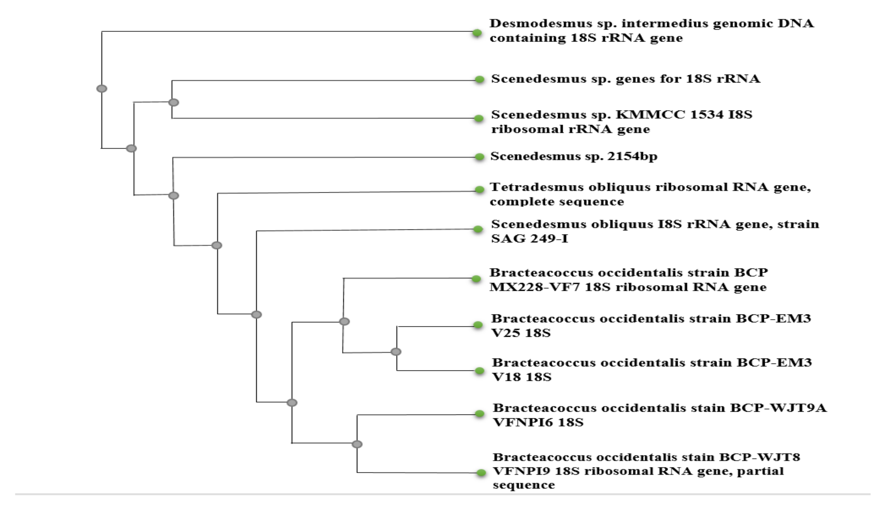 Sustainability 13 02216 g003