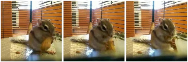 Sustainability 13 02250 i001