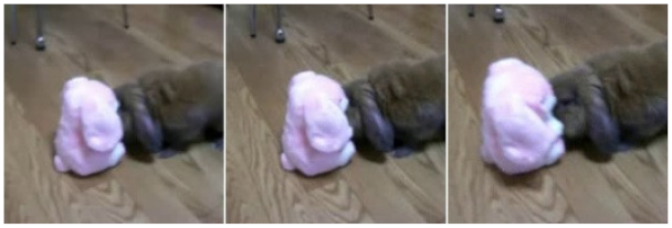 Sustainability 13 02250 i009