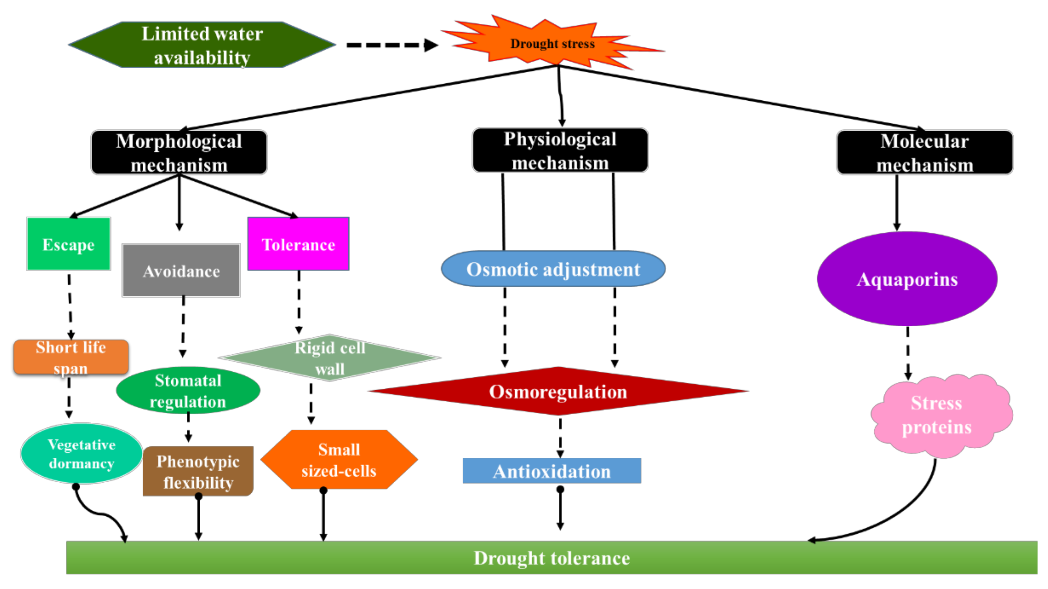 Sustainability 13 02269 g003 Sustainability 13 02269 g003