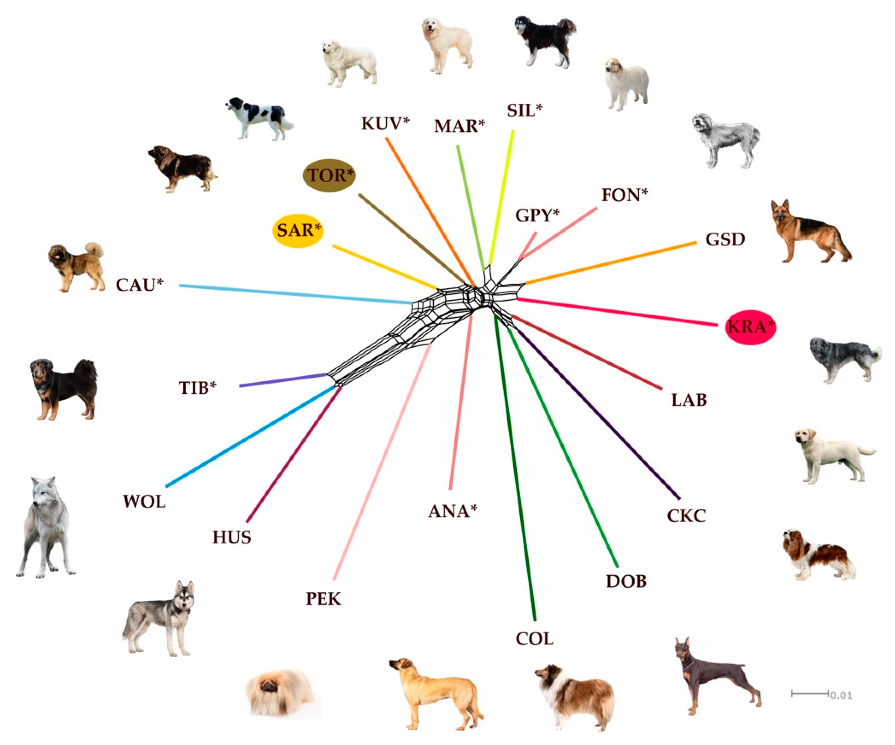 Sustainability 13 02289 g005