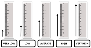 Sustainability 13 02324 i003