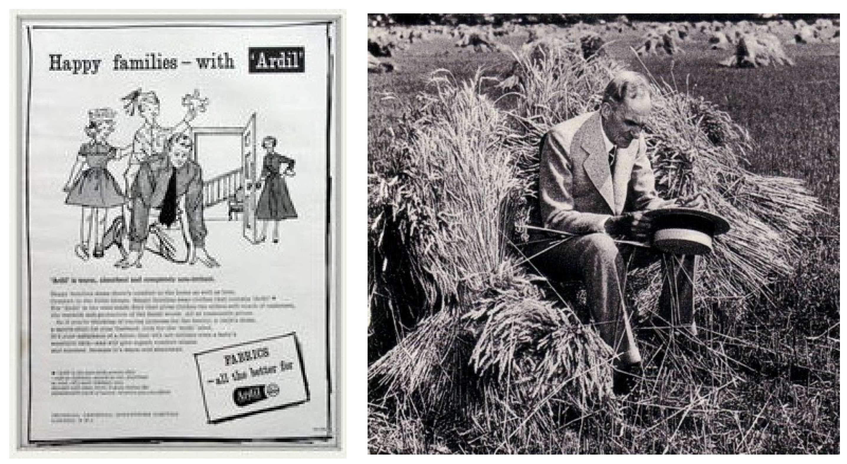 Sustainability 13 02328 g003