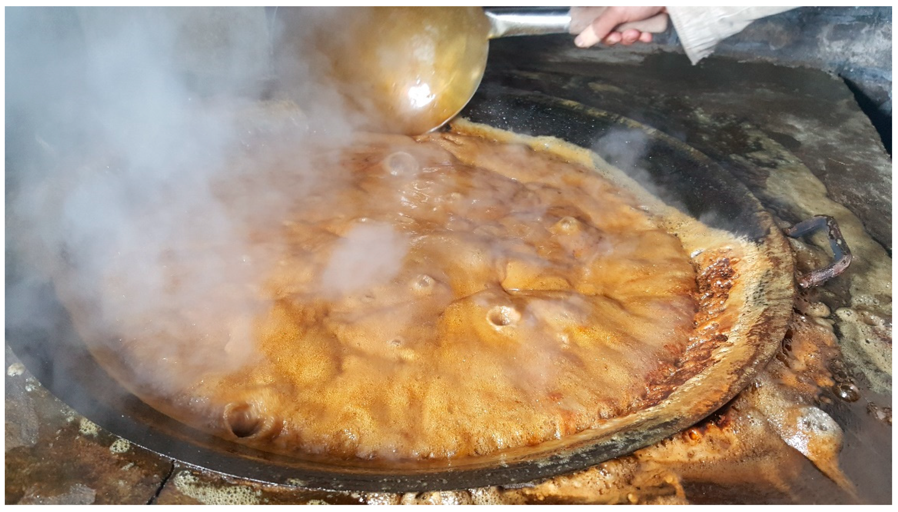 Sustainability 13 02331 g017