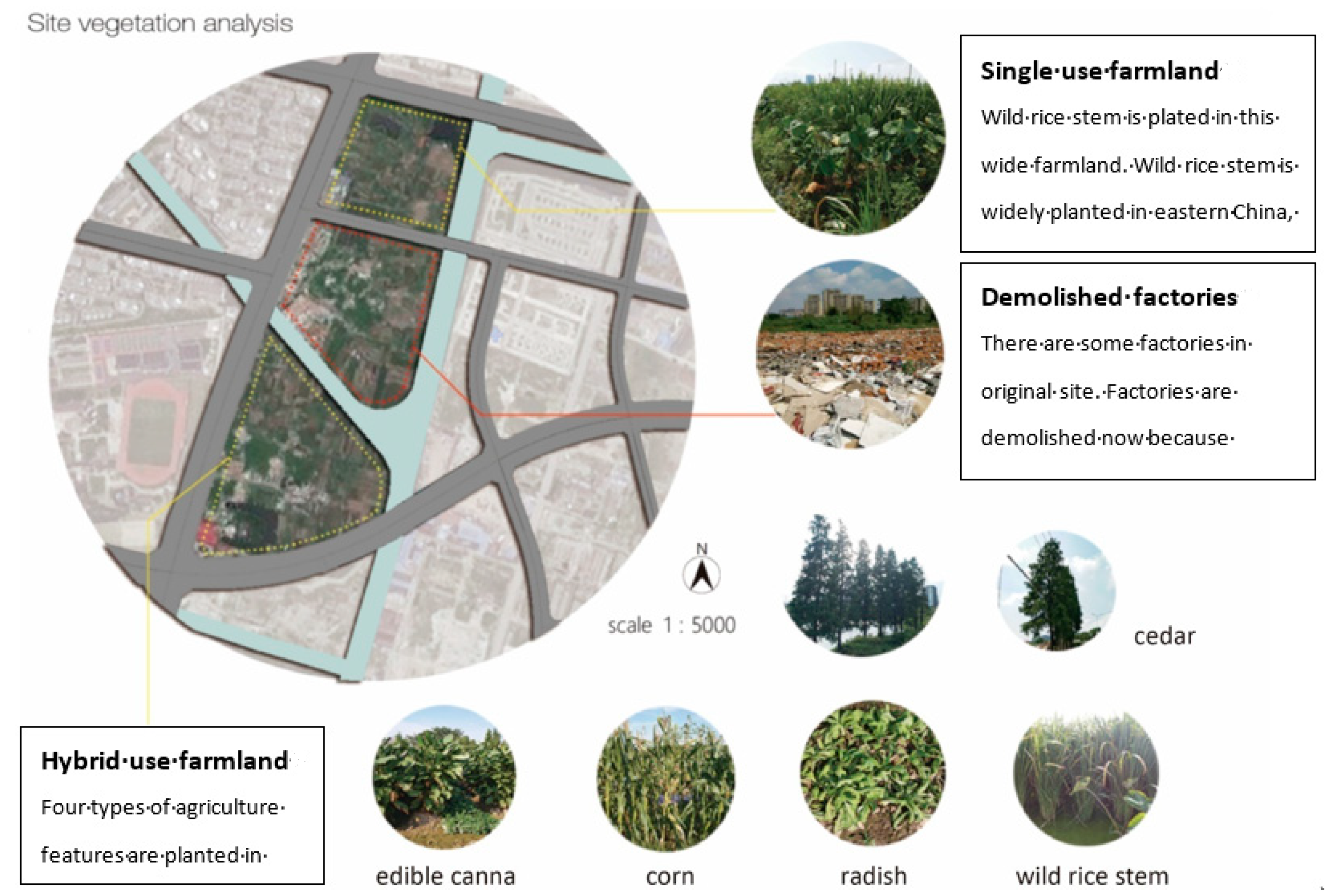 Sustainability 13 02373 g008