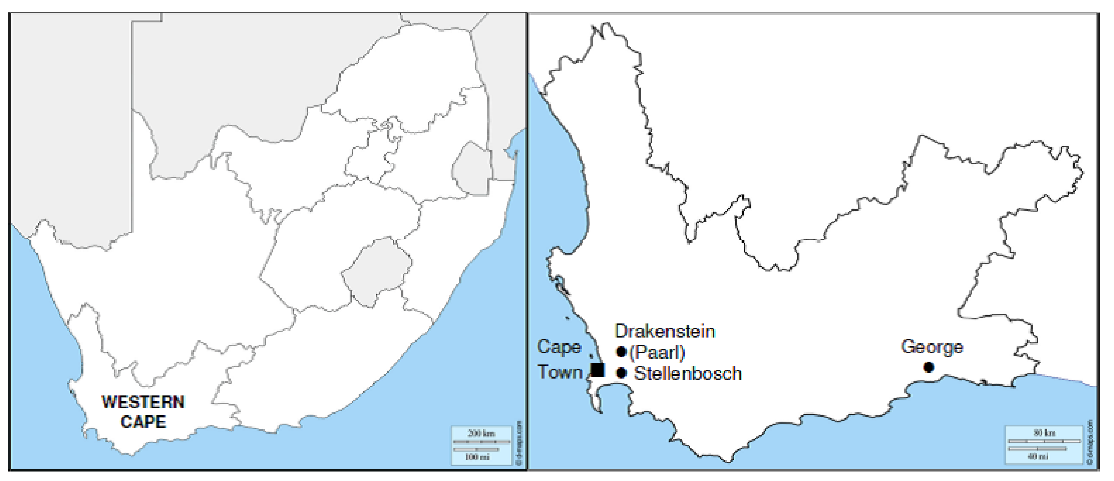 Sustainability 13 02382 g002