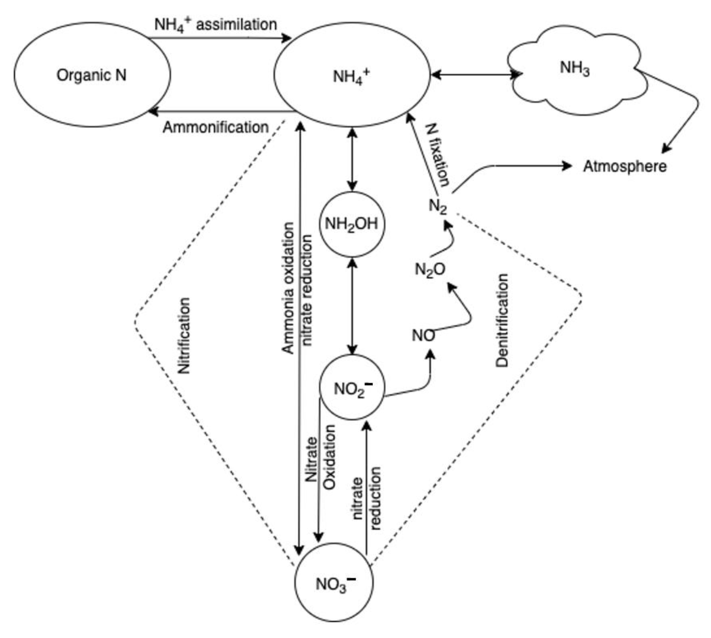 Sustainability 13 02400 g002