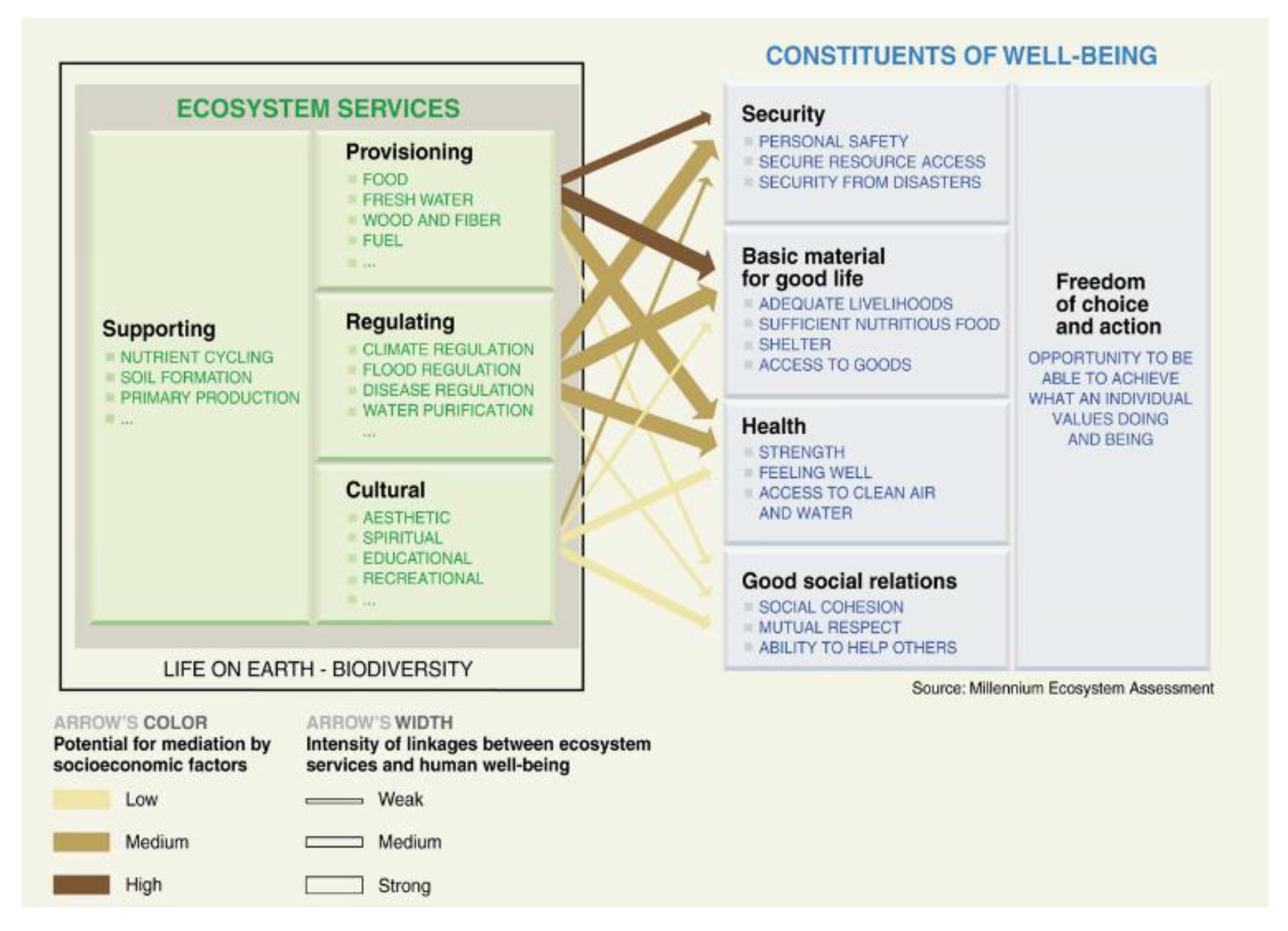 Sustainability 13 02434 g001