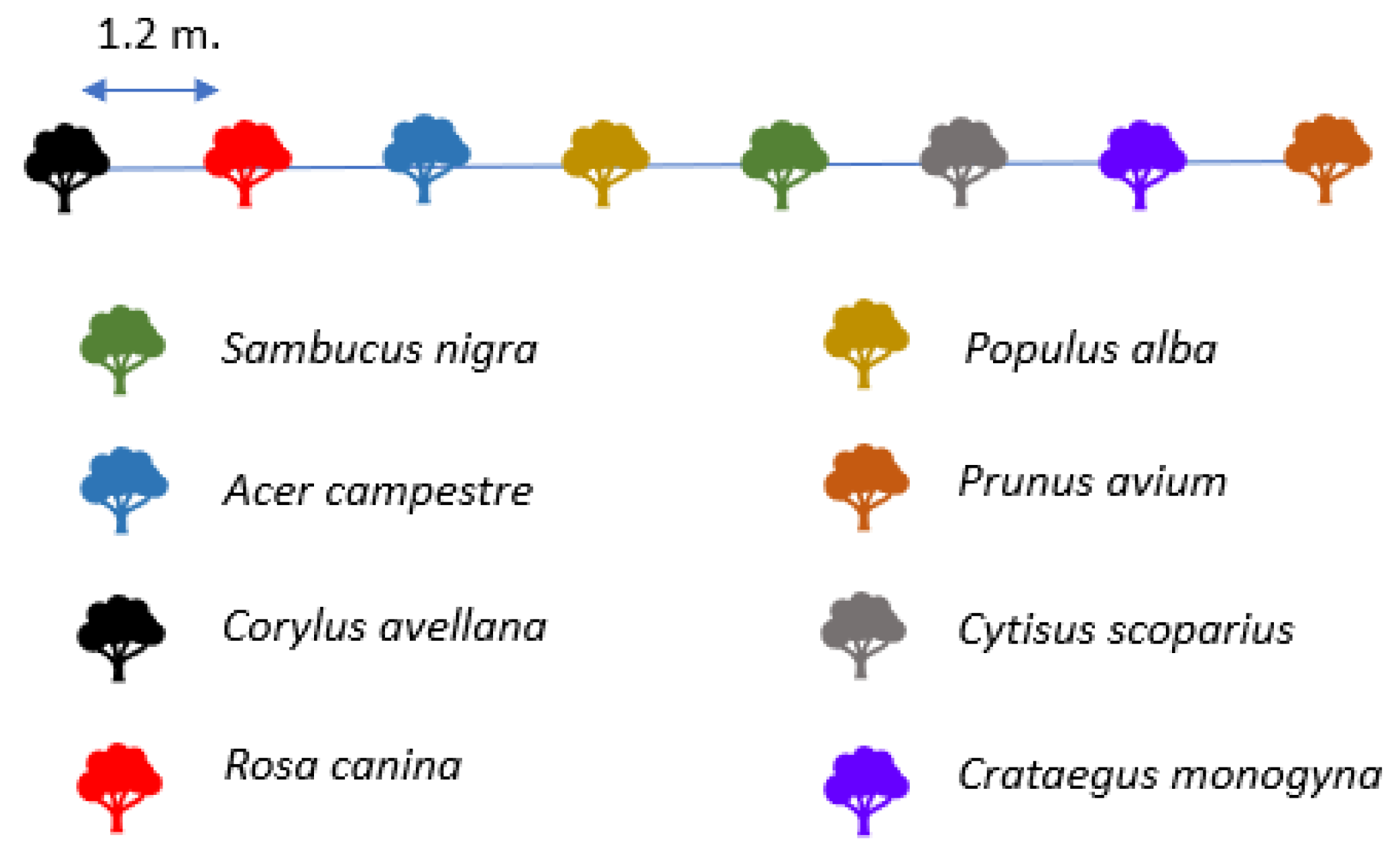 Sustainability 13 02434 g003