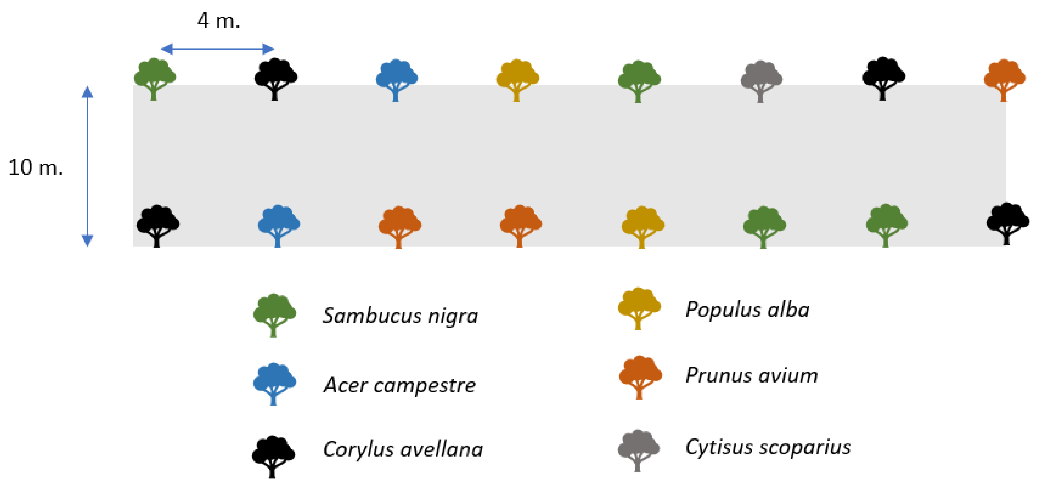 Sustainability 13 02434 g004