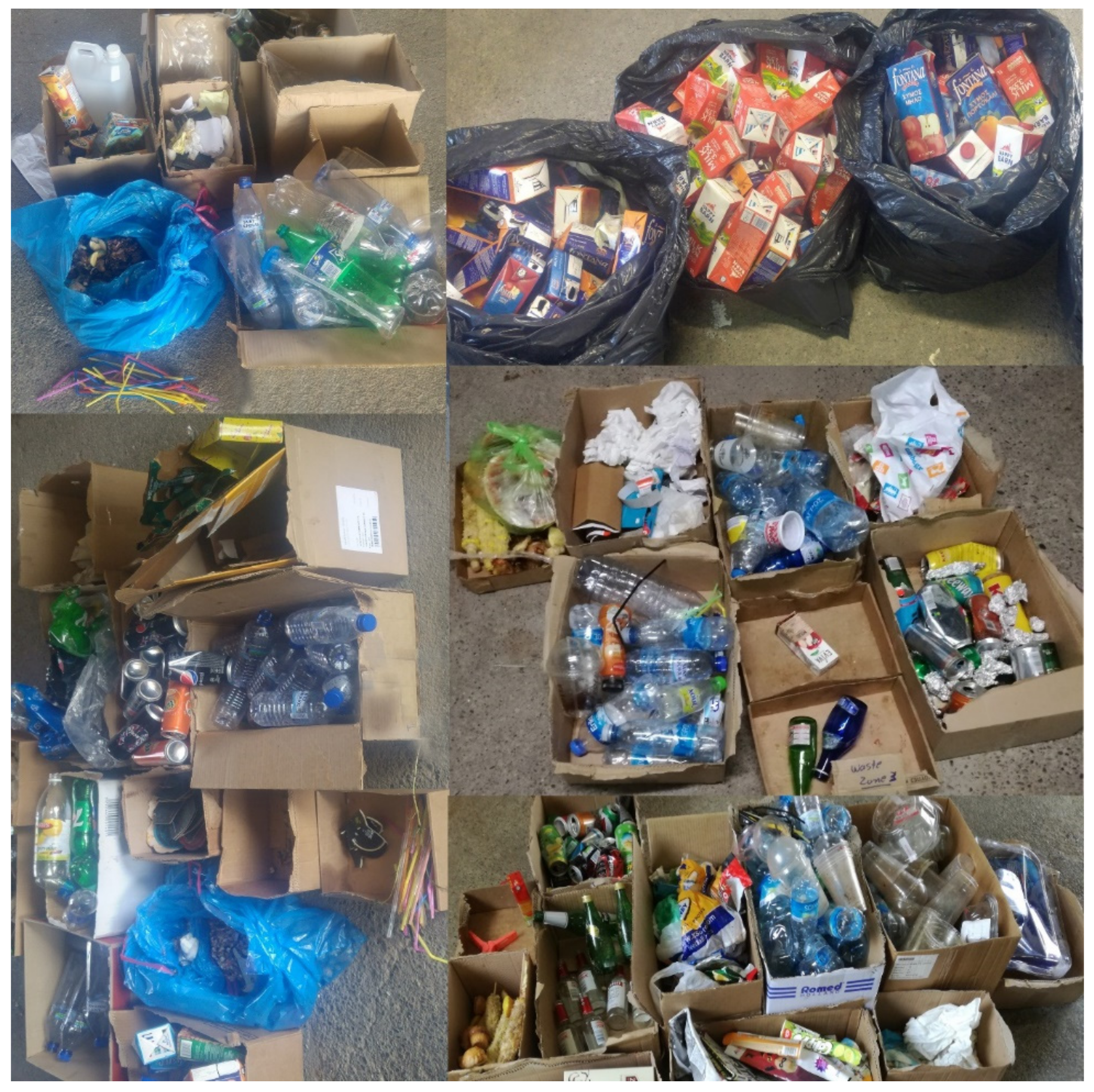 Sustainability 13 02485 g008