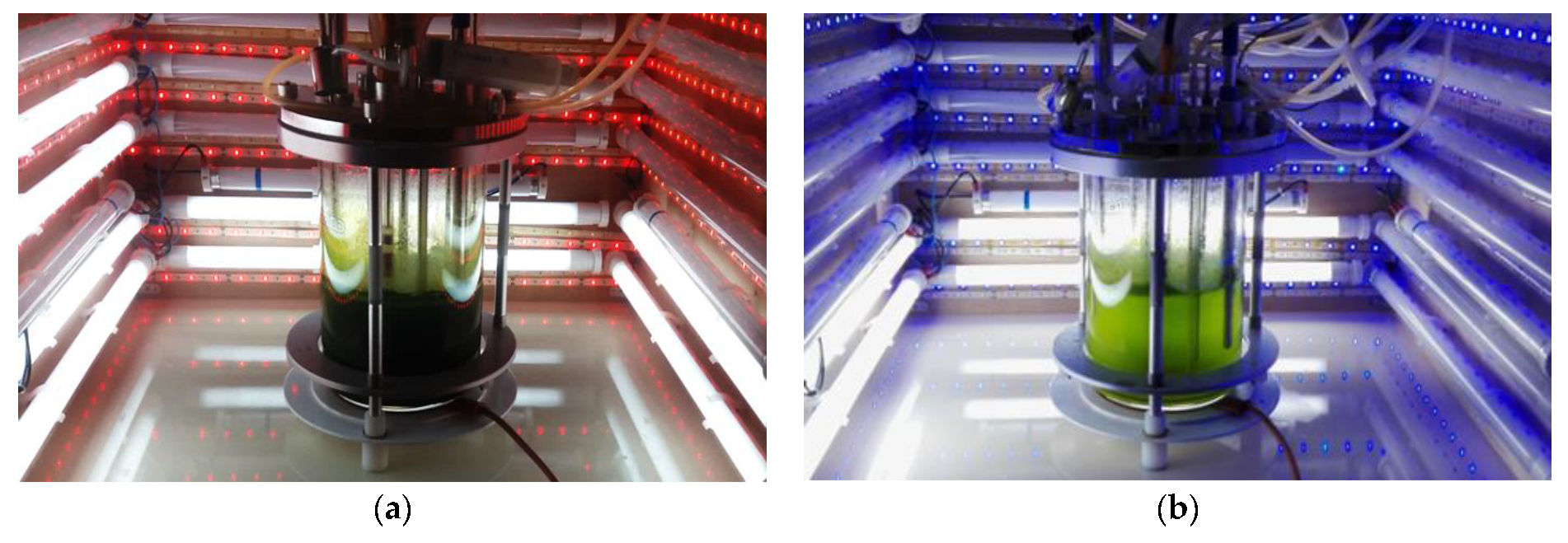 Sustainability 13 02489 g001