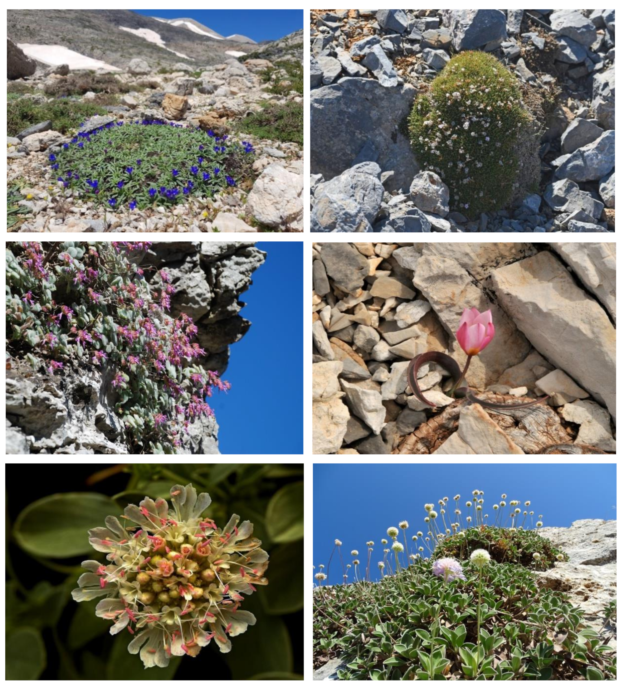 Sustainability 13 02539 g006