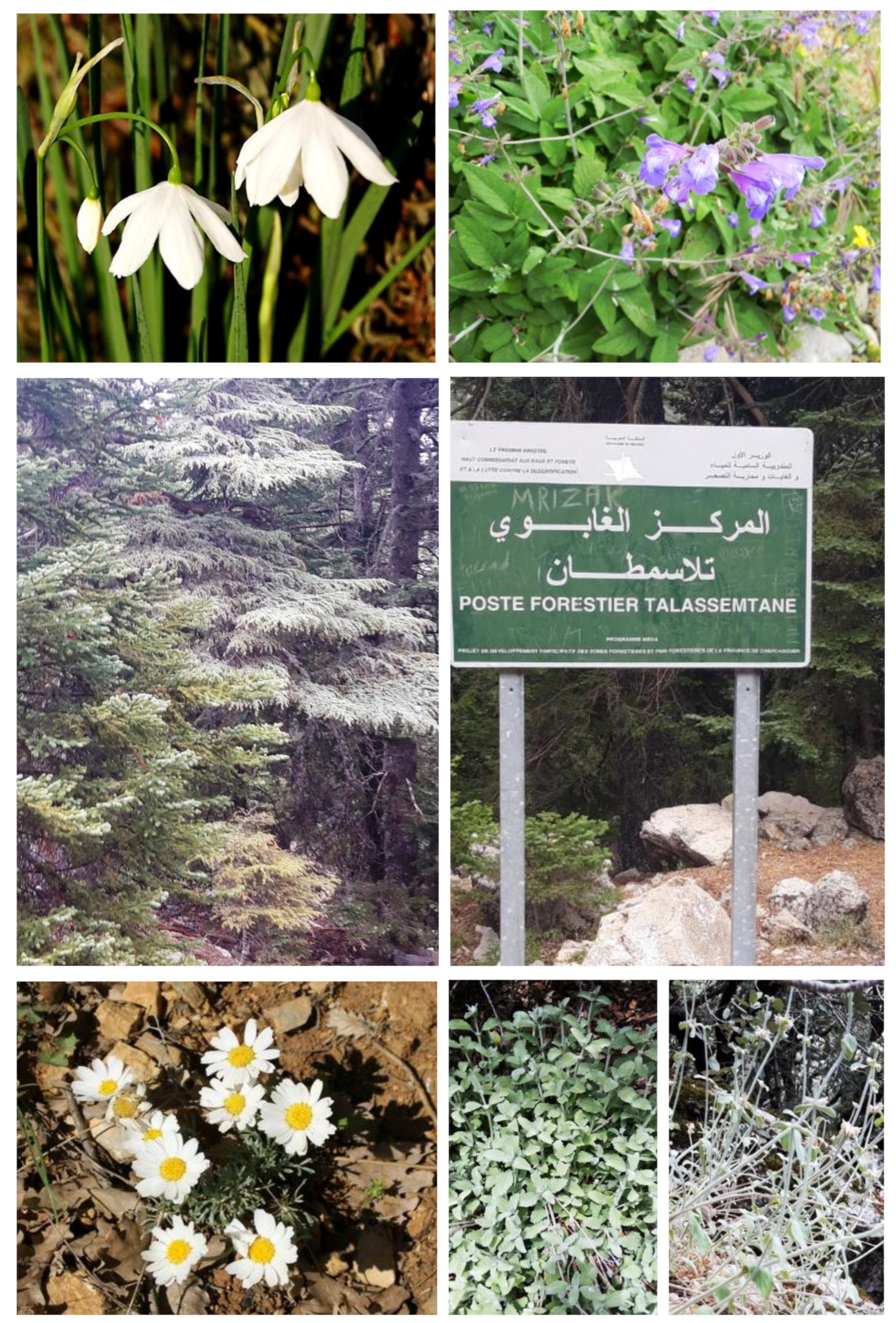 Sustainability 13 02539 g007