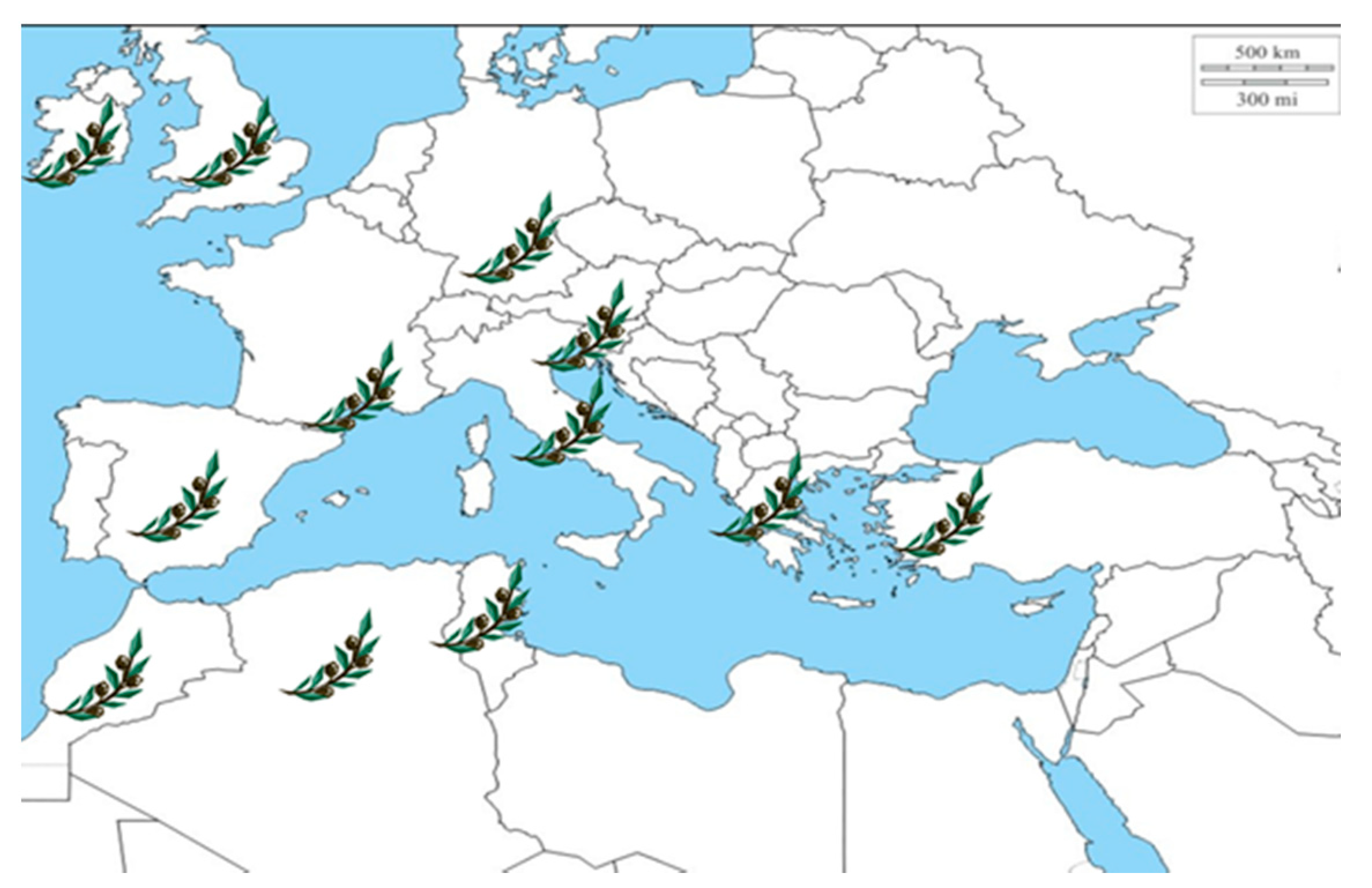Sustainability 13 02588 g004 Sustainability 13 02588 g004