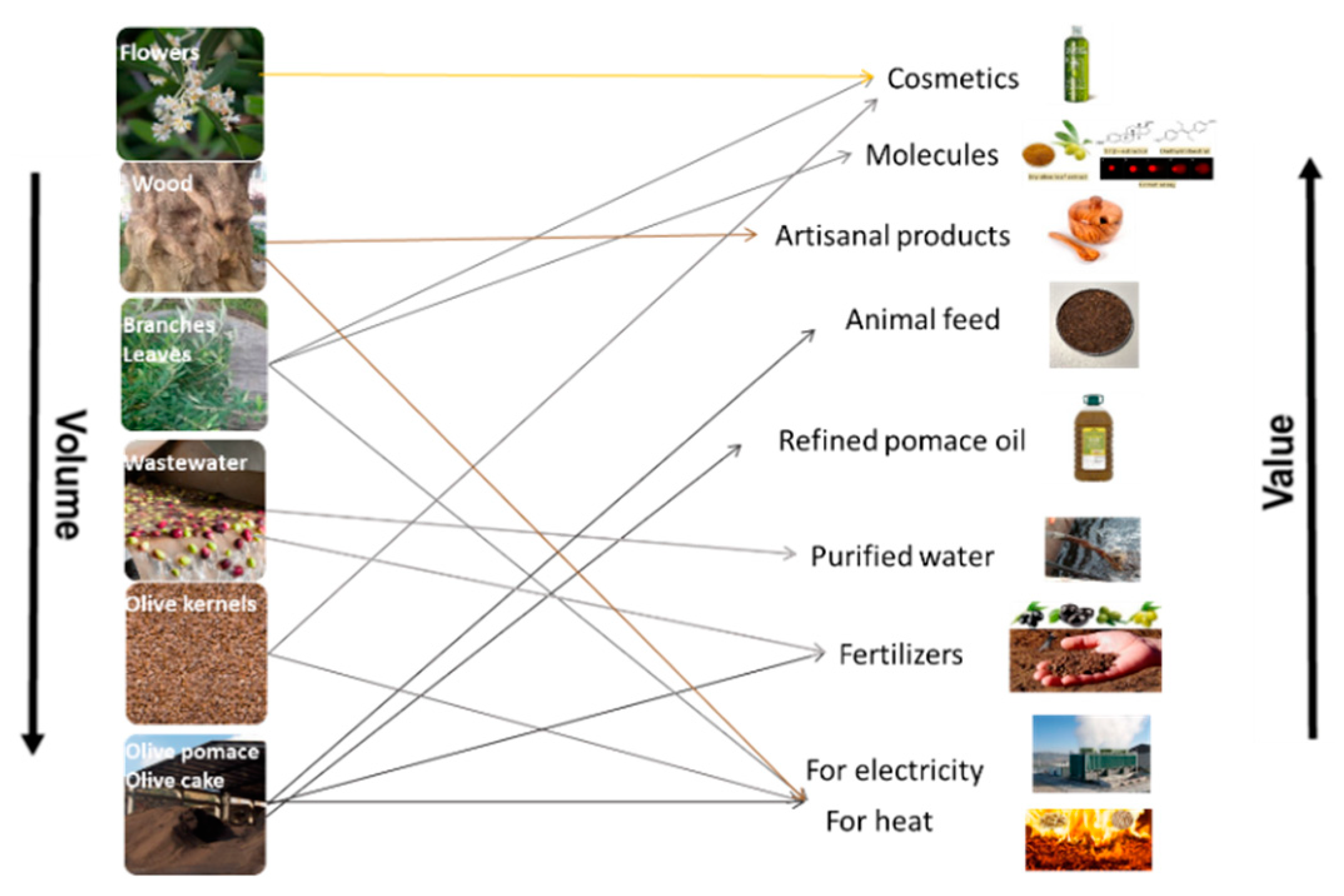 Sustainability 13 02588 g006 Sustainability 13 02588 g006
