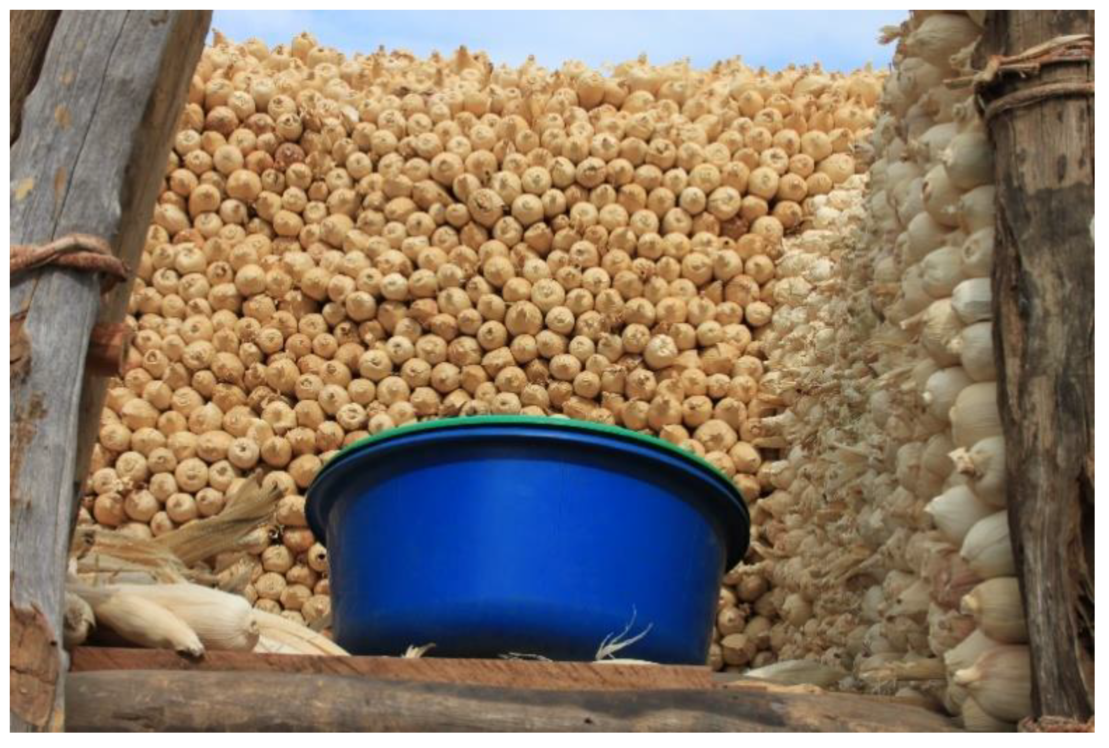 Sustainability 13 02597 g004