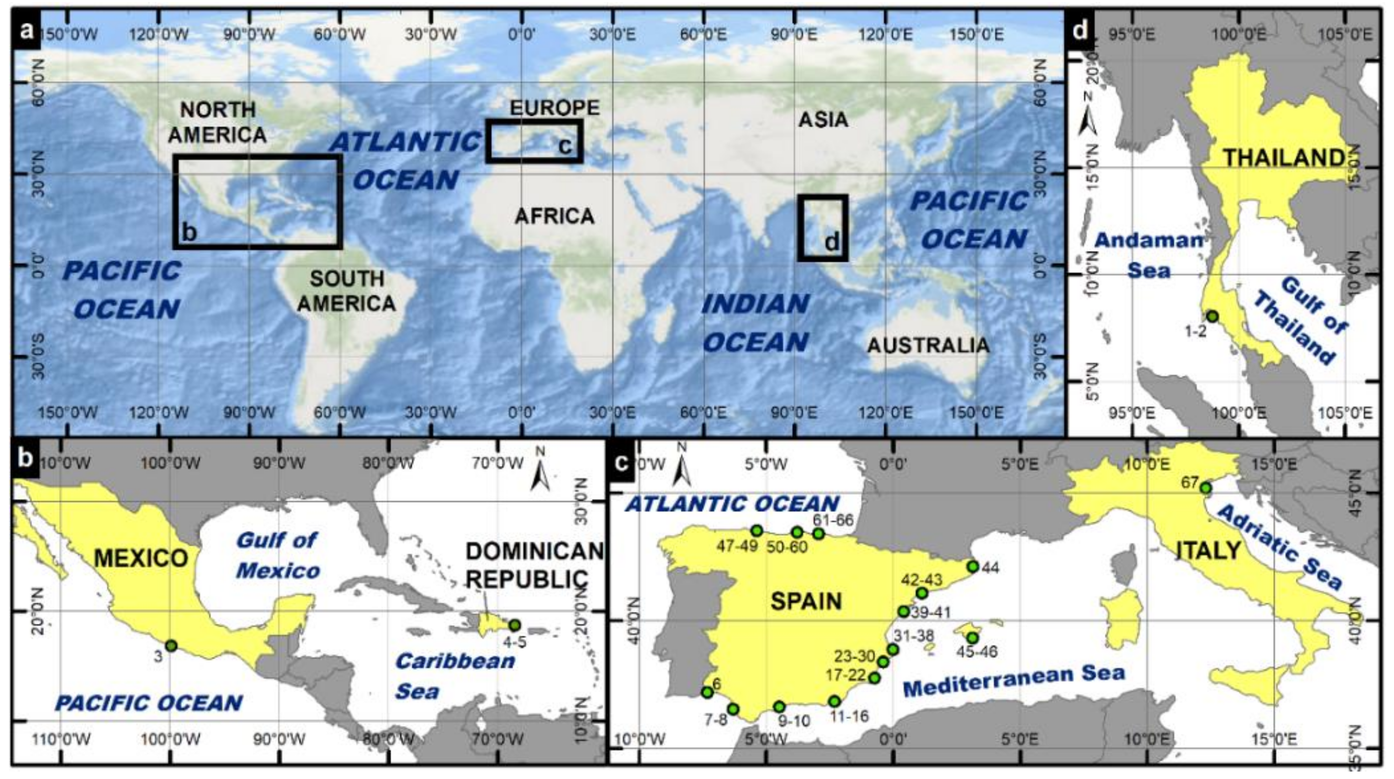 Sustainability 13 02633 g001