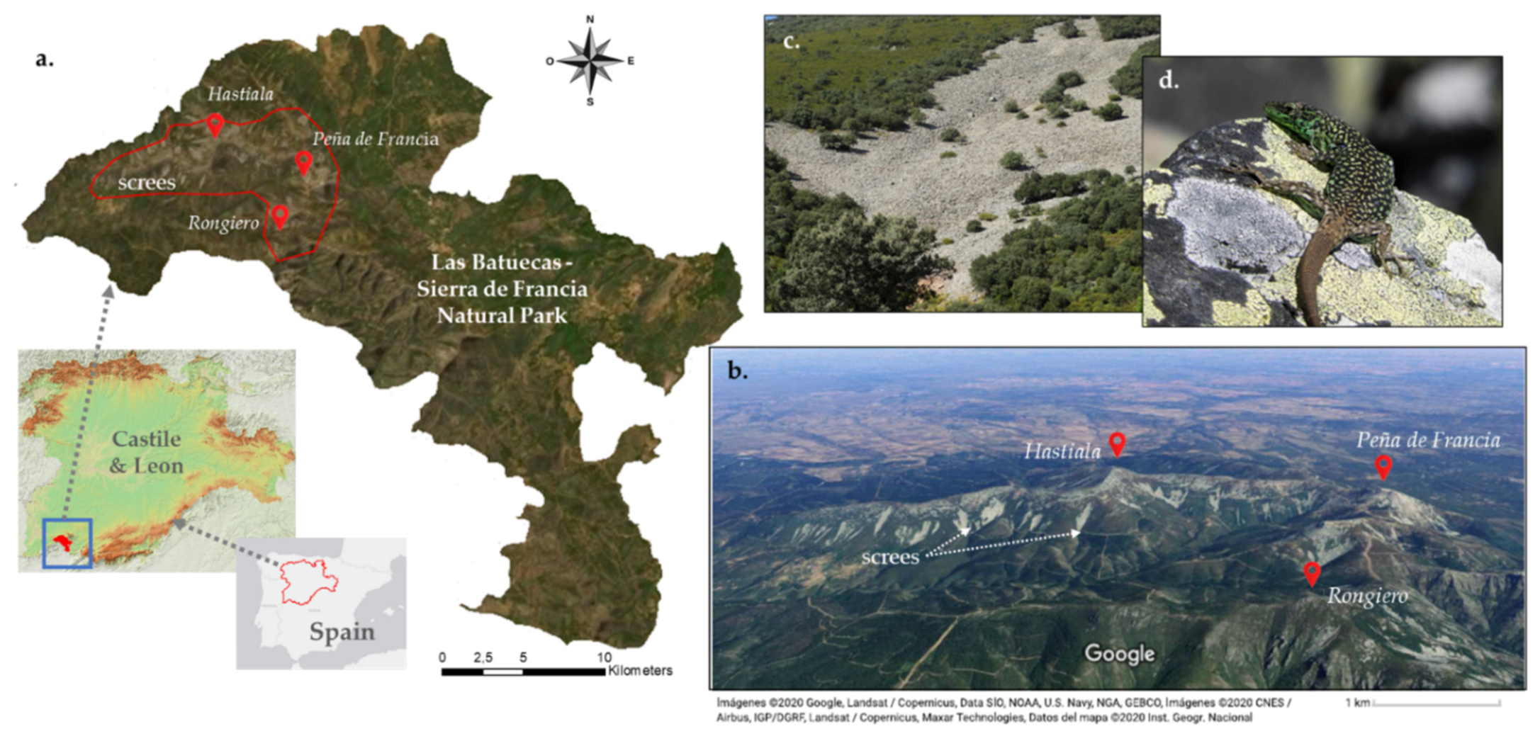 Sustainability 13 02647 g001
