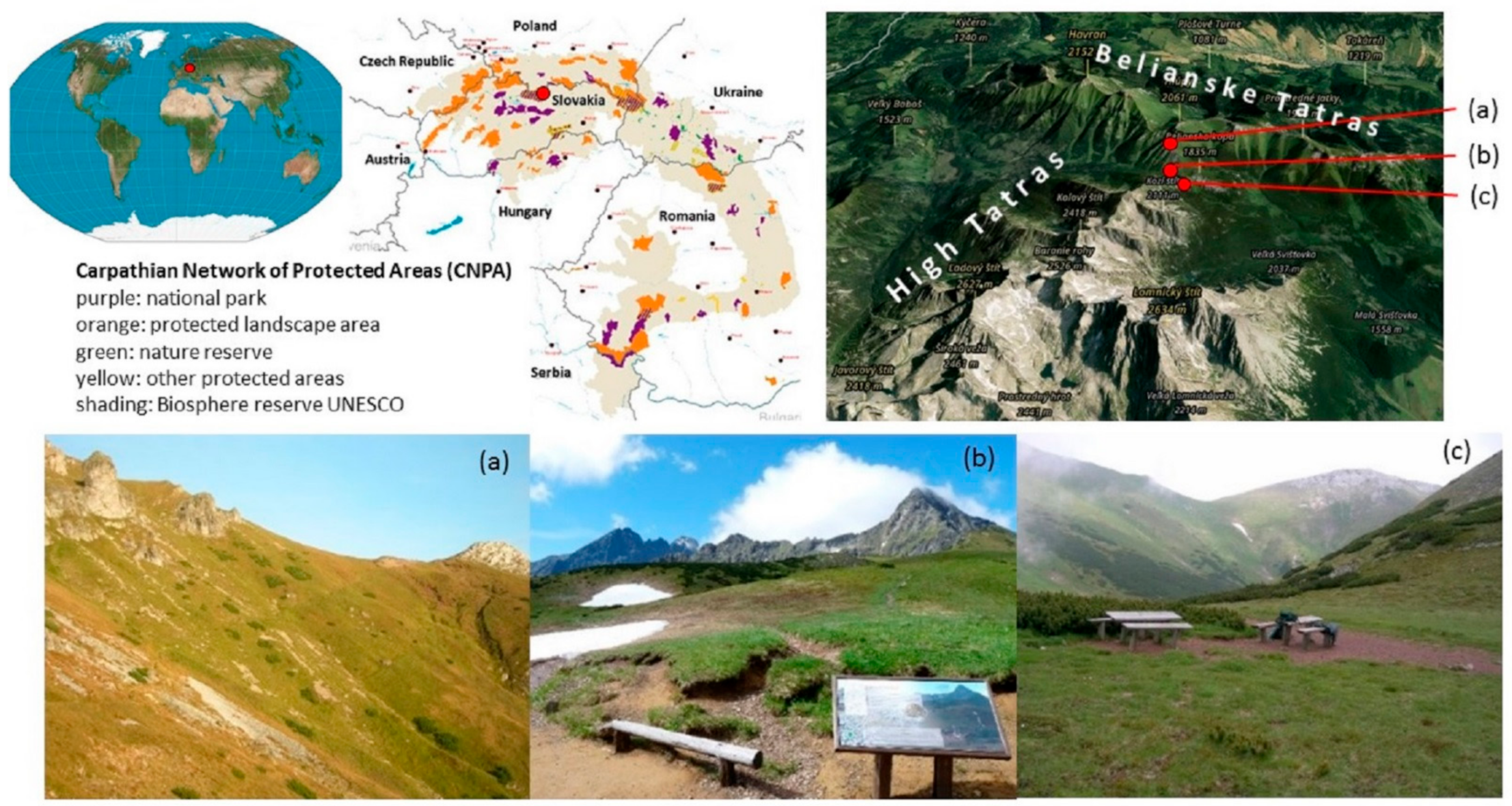 Sustainability 13 02750 g001