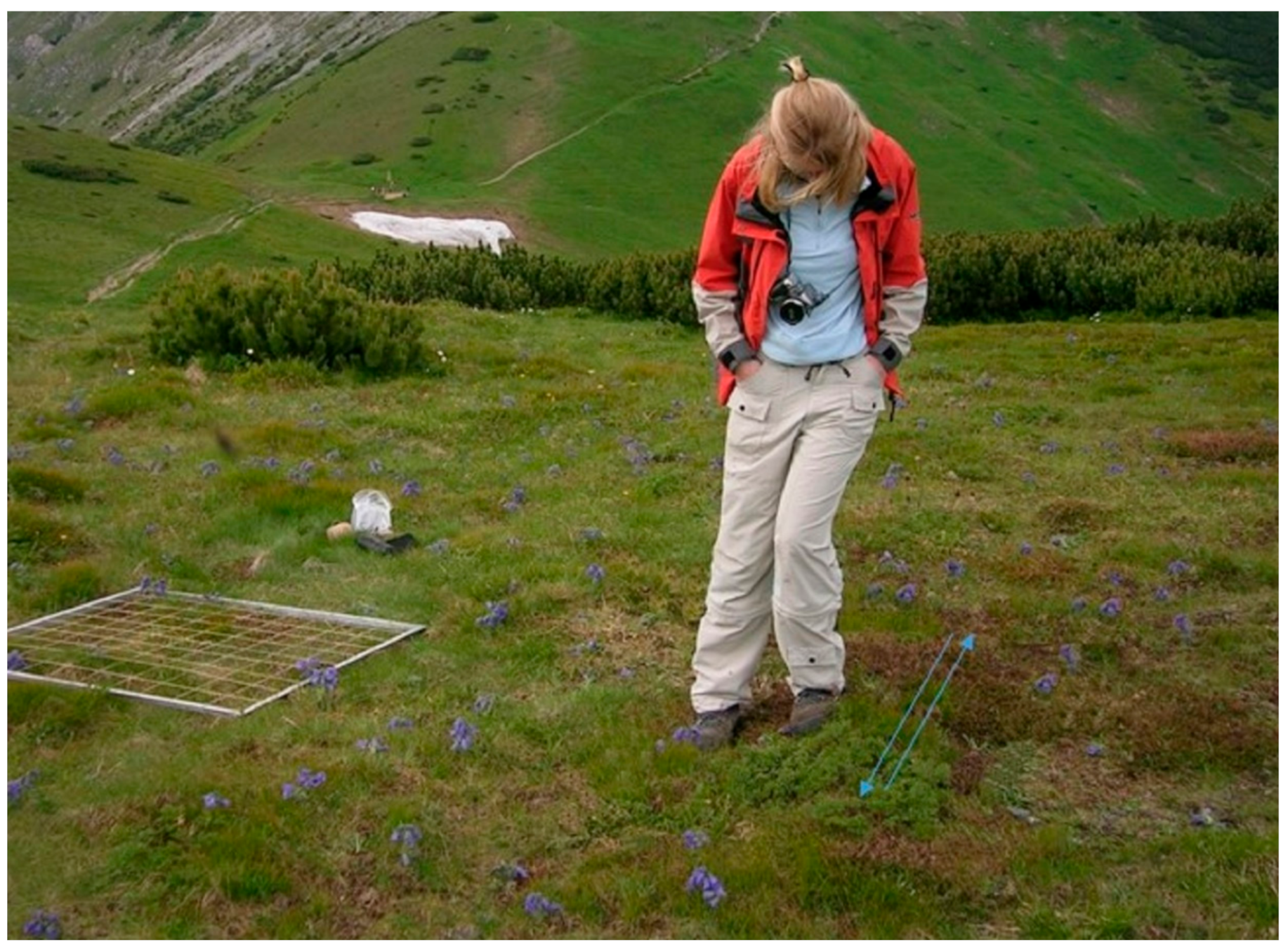 Sustainability 13 02750 g003