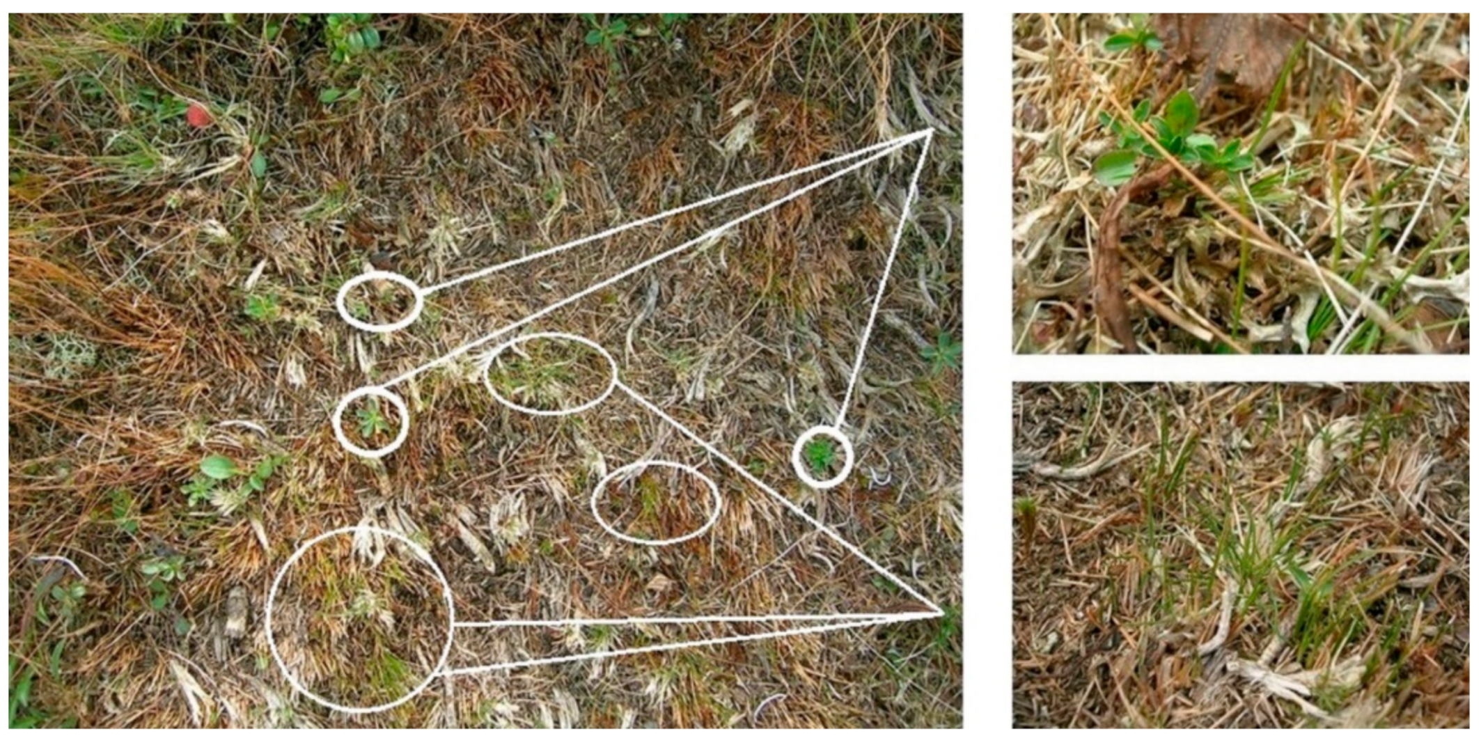 Sustainability 13 02750 g007