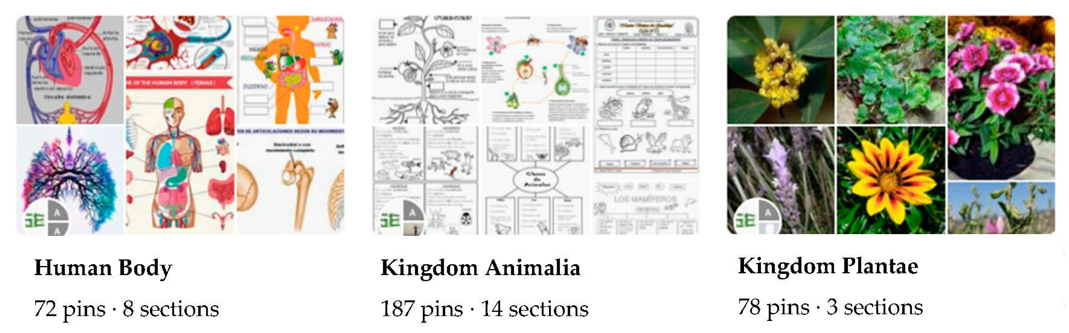 Sustainability 13 02816 g001
