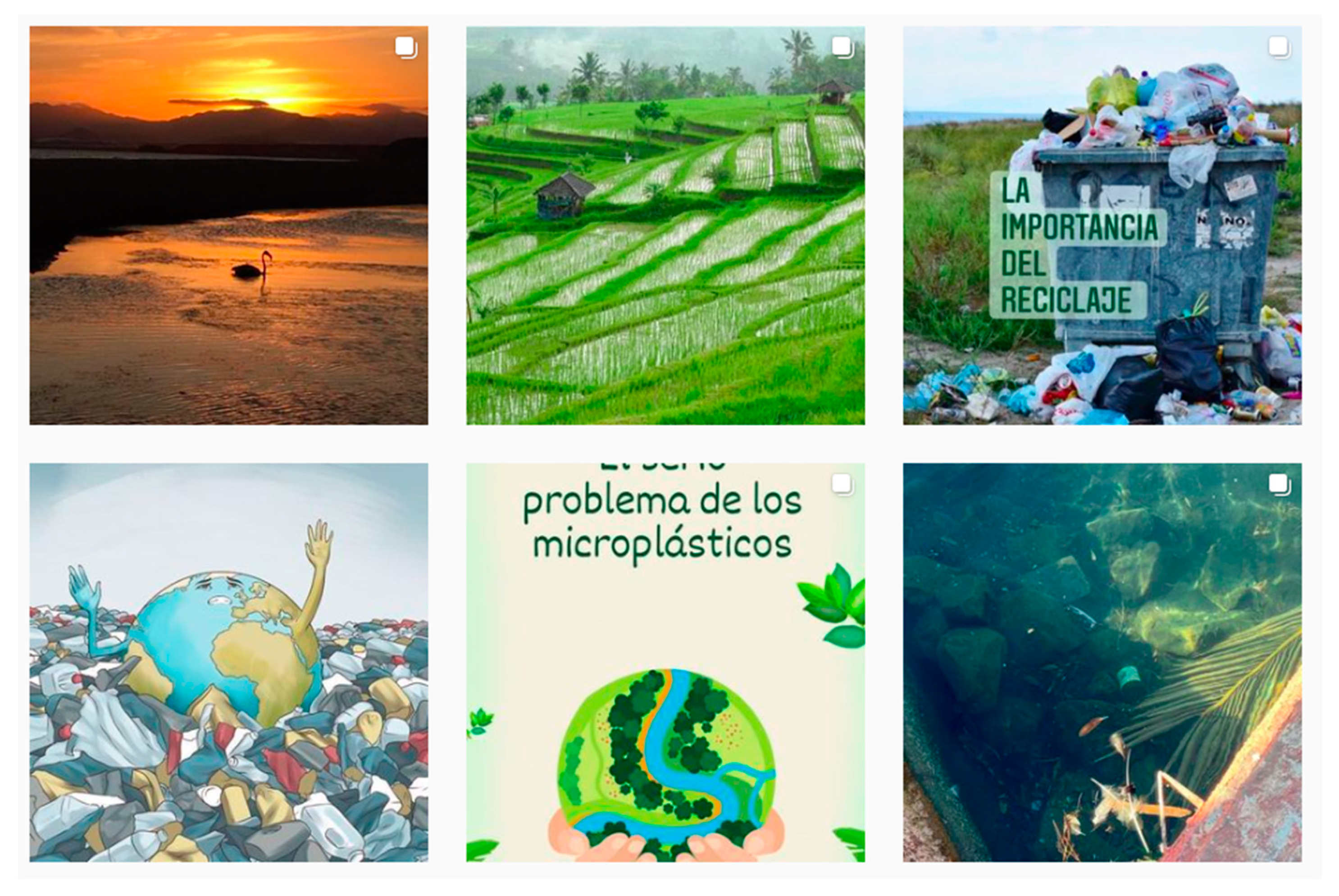 Sustainability 13 02816 g002