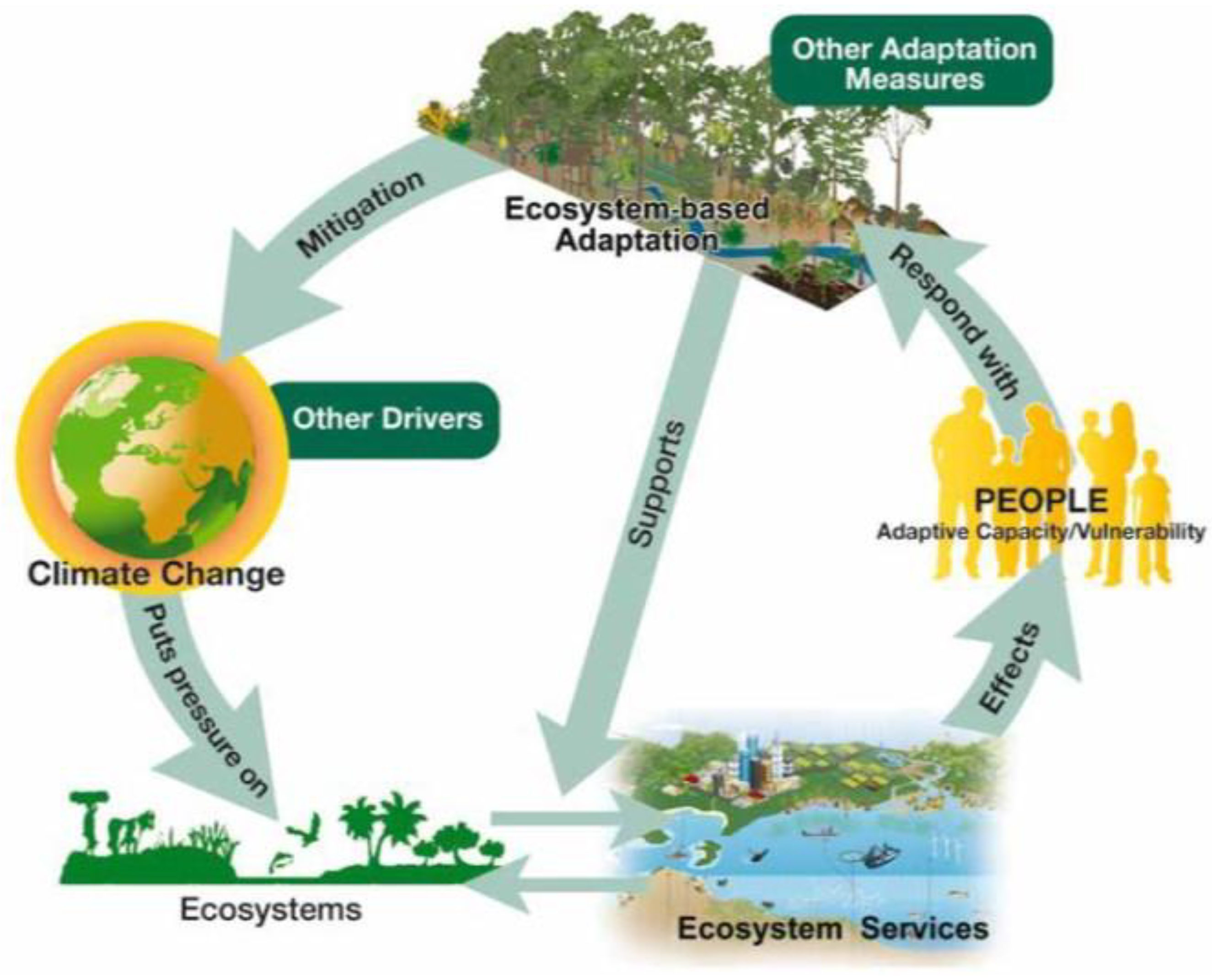 Sustainability 13 02825 g001