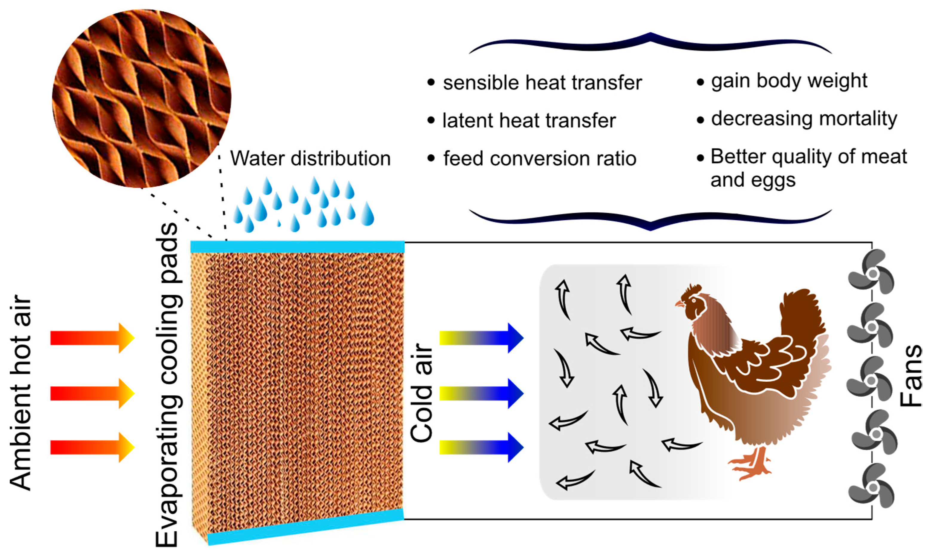 Sustainability 13 02836 g004