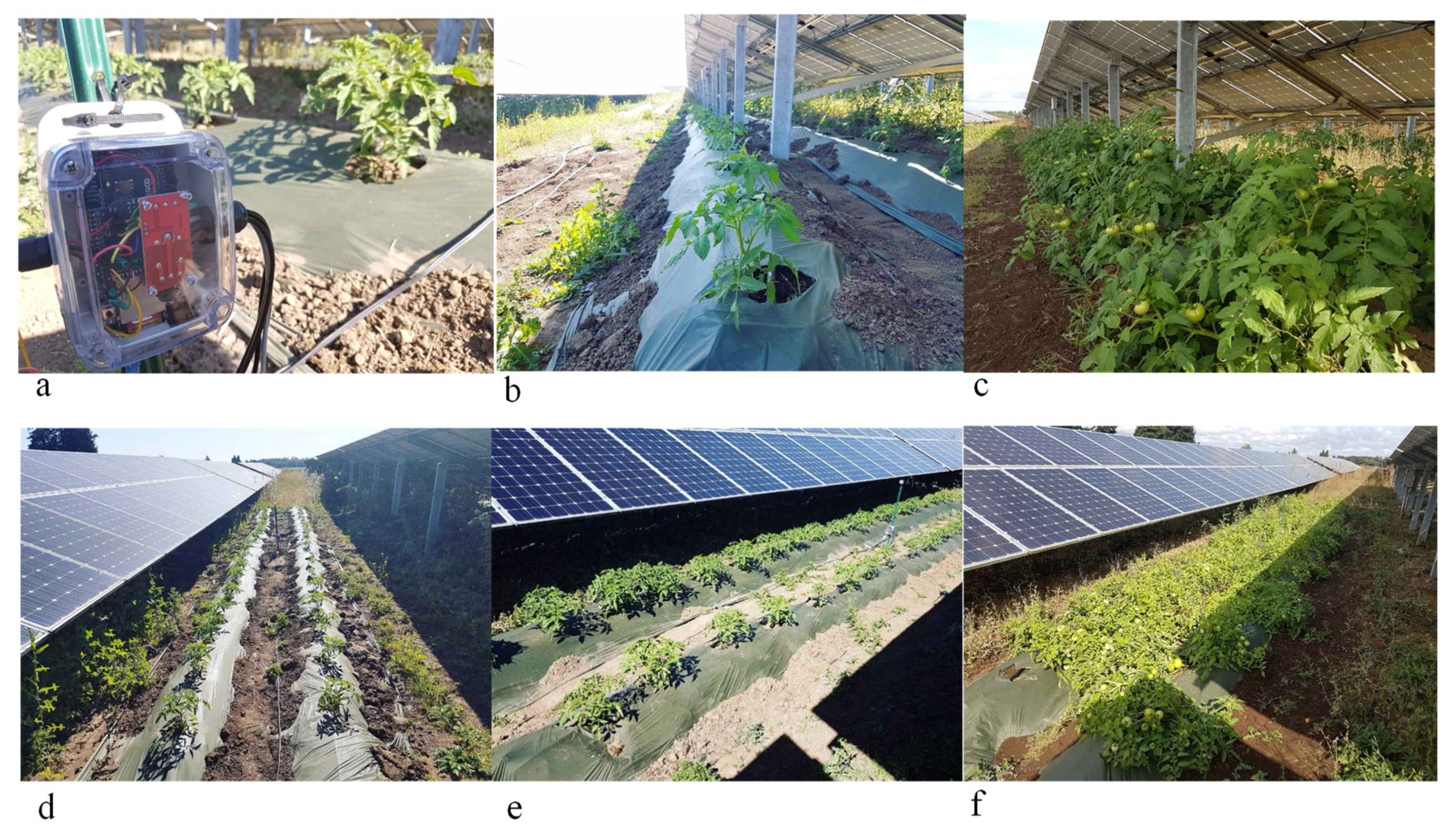 Sustainability 13 02850 g002