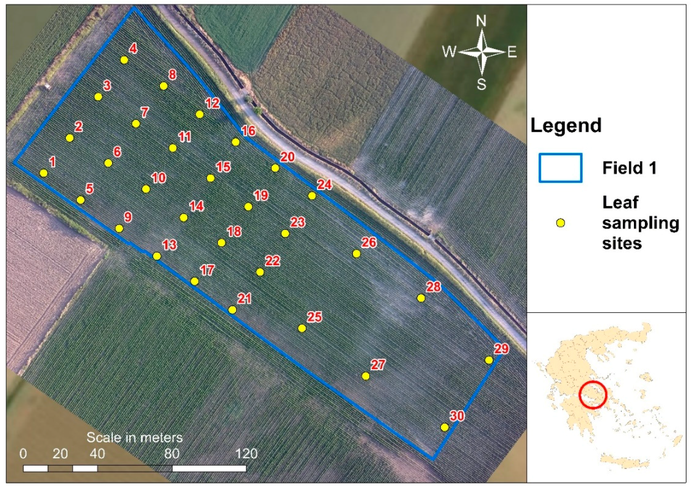 Sustainability 13 02855 g004