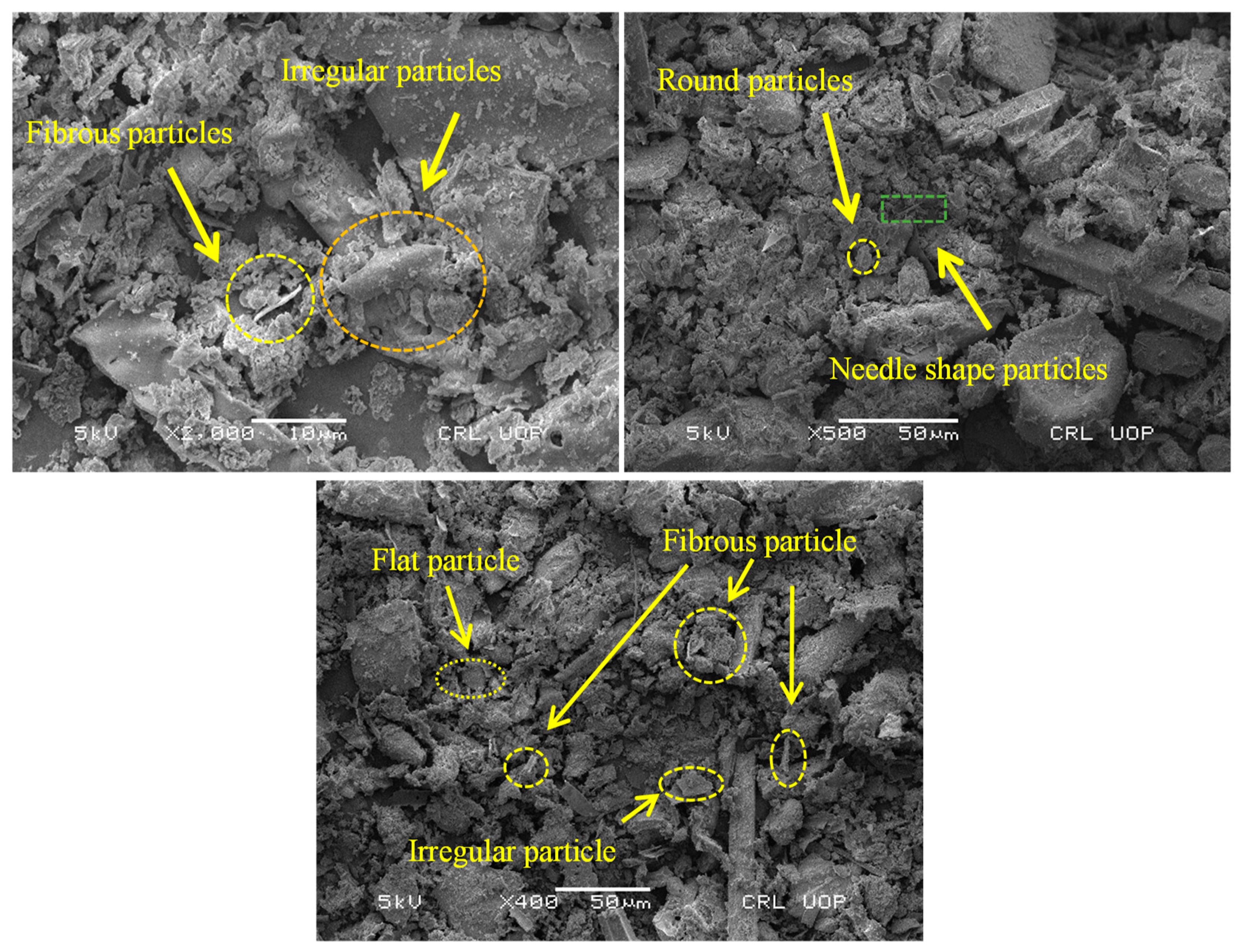 Sustainability 13 02867 g005