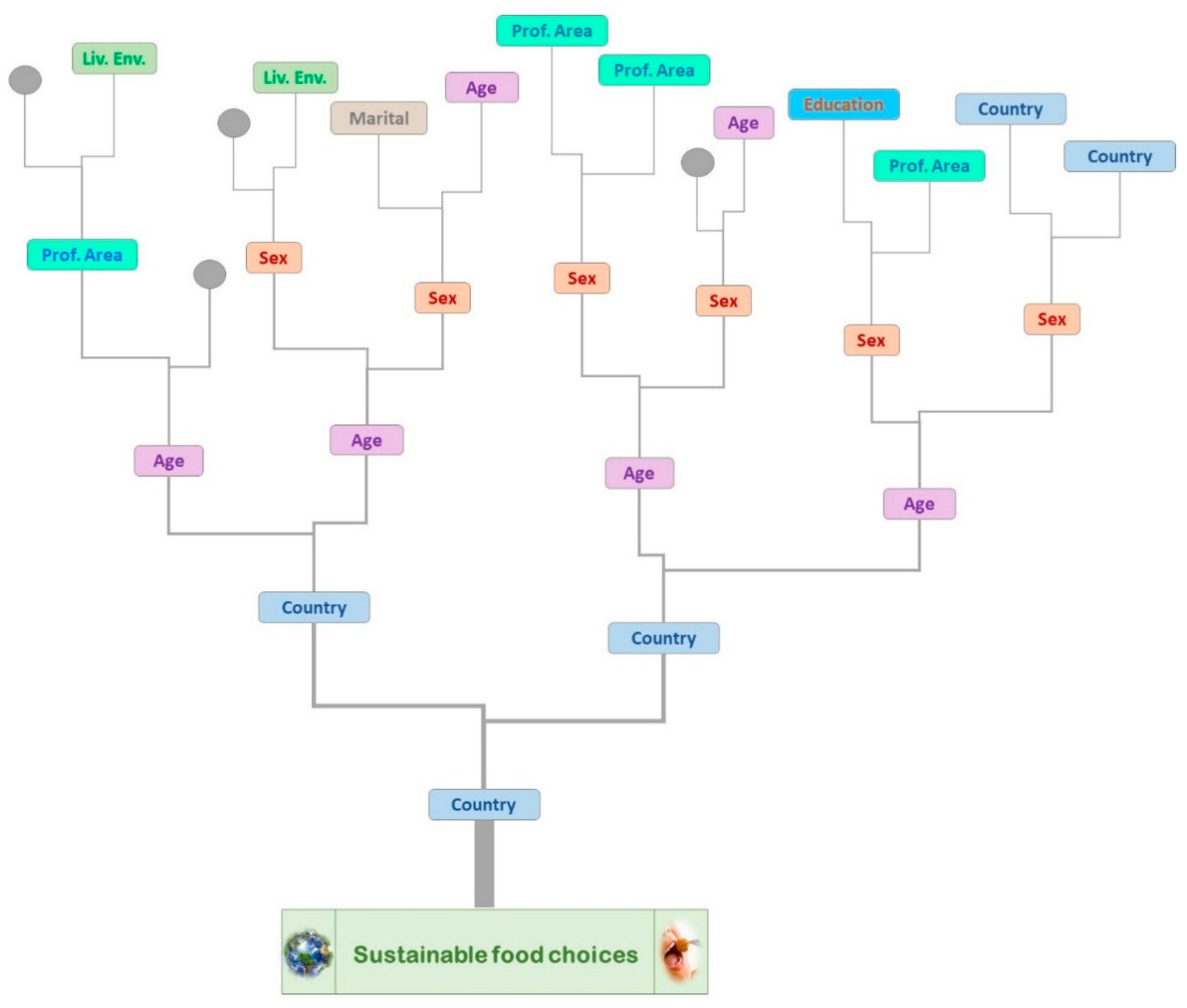 Sustainability 13 02869 g002