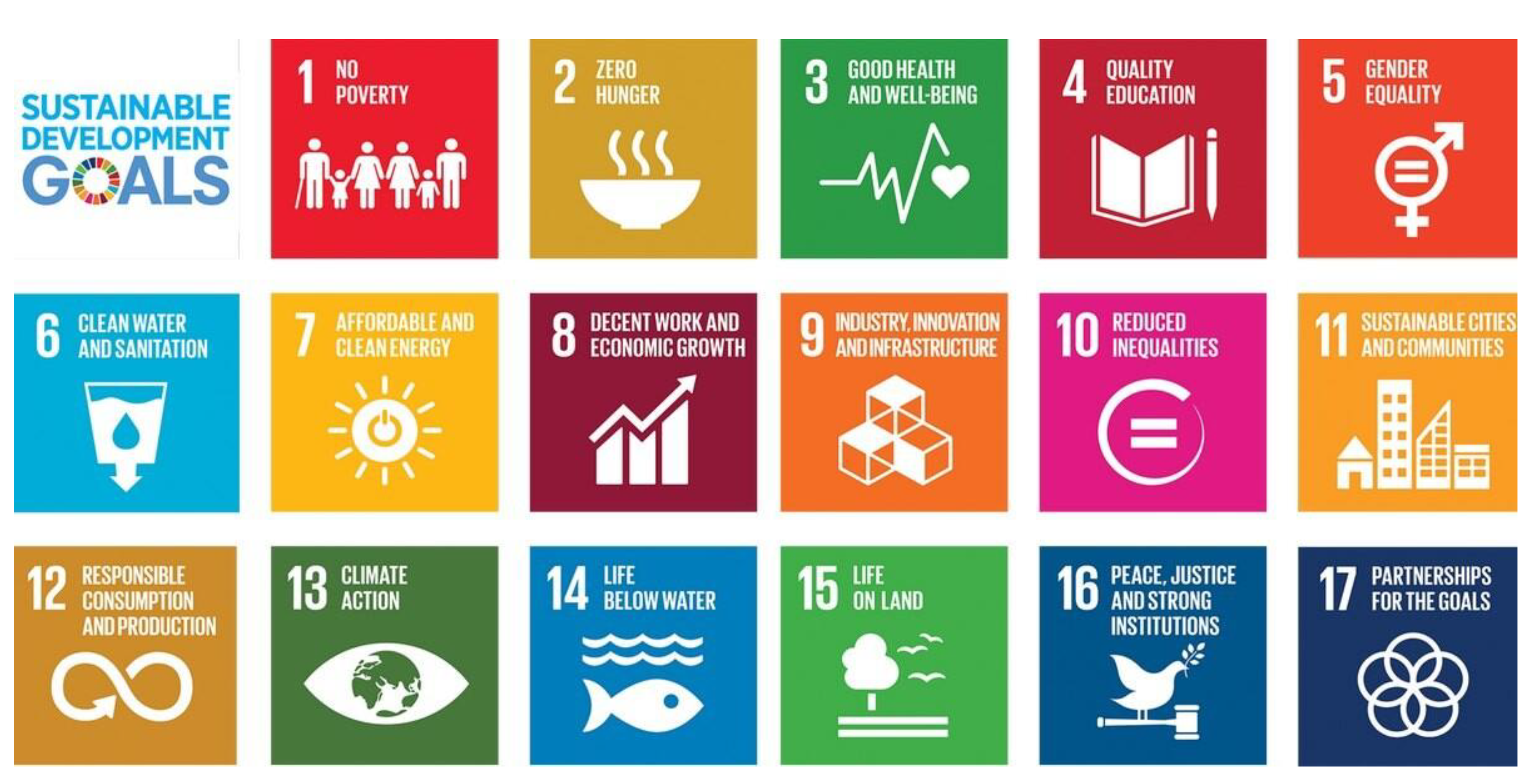 Sustainability 13 02876 g007