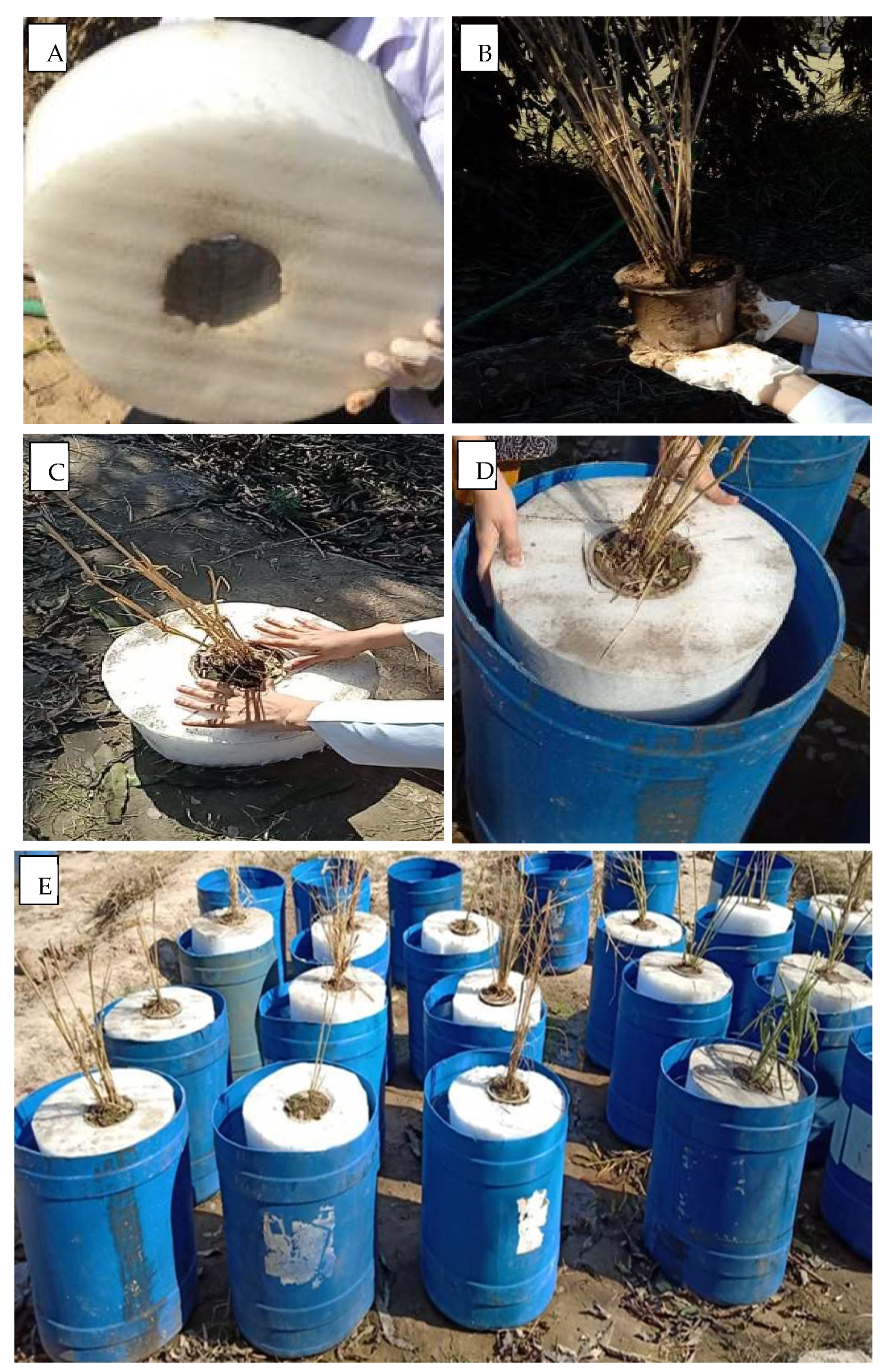 Sustainability 13 02883 g001